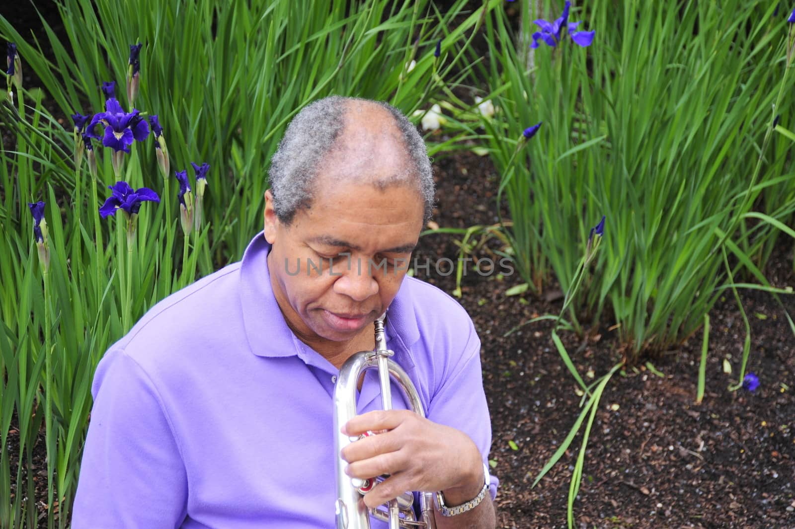 African American jazz musician holding his flugelhorn.