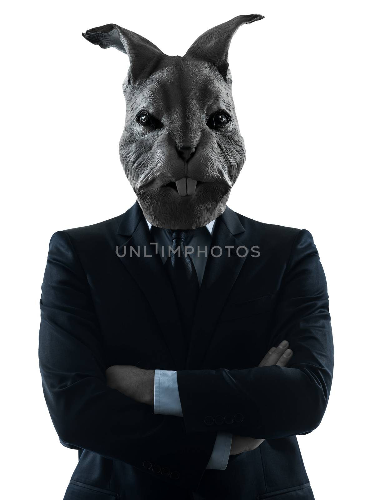 one caucasian man rabbit mask  portrait in silhouette studio isolated on white background