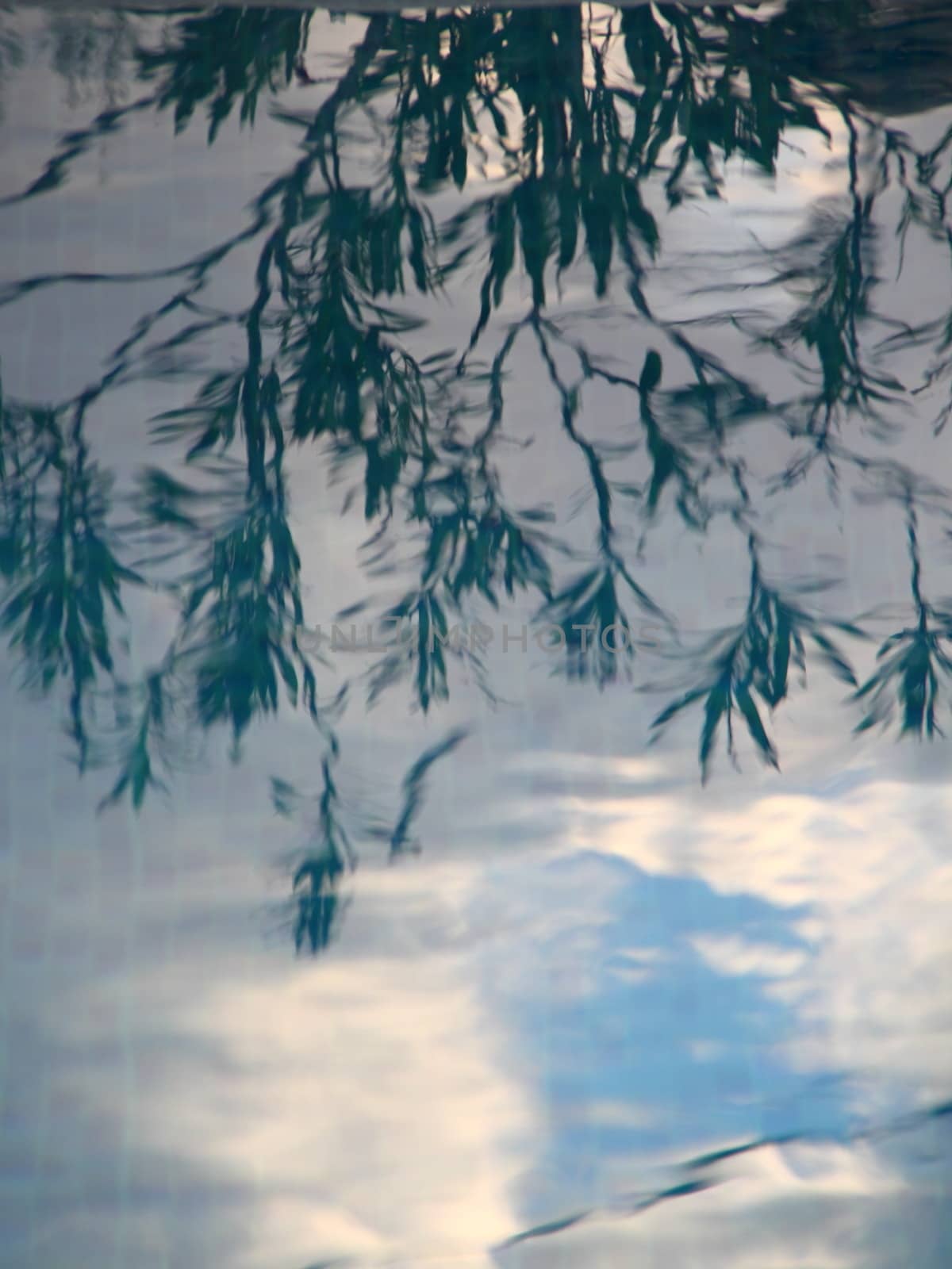reflections in pool water