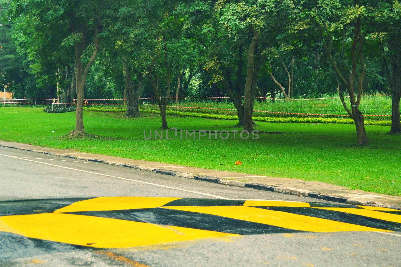 Green grass in the park with Road