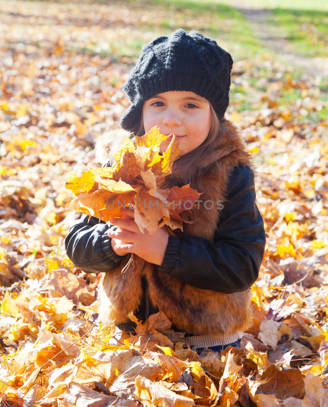 little girl sits on a grass and holds autumn leaves of a maple by elena_shchipkova