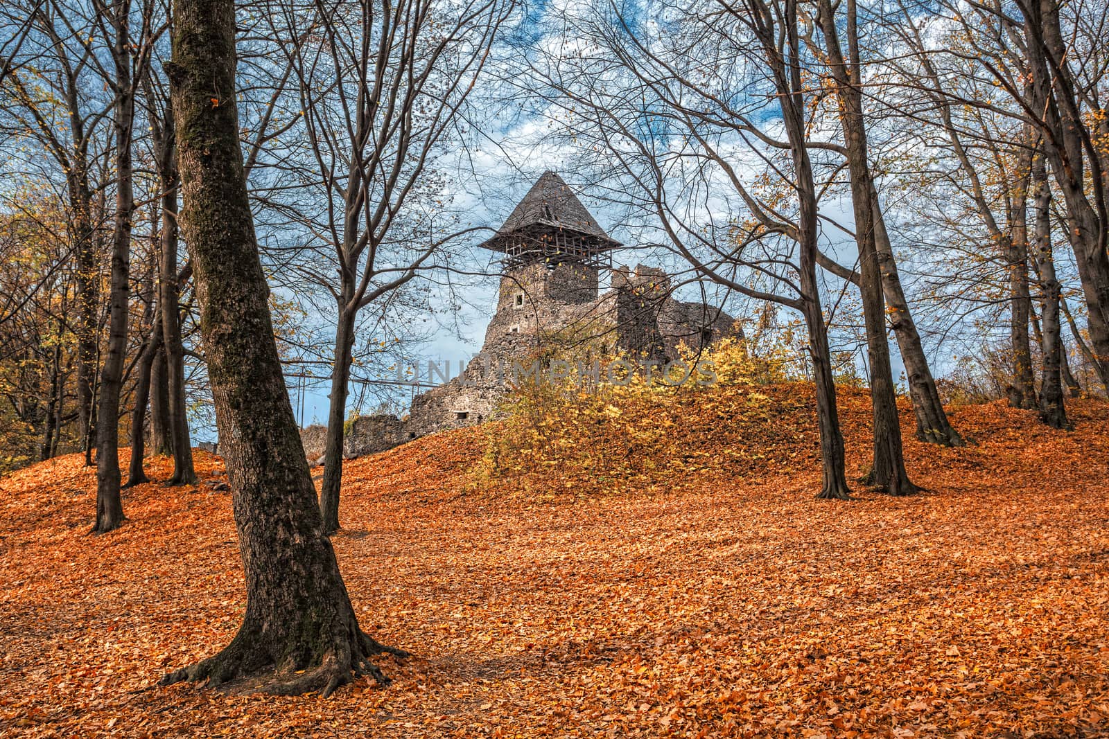 Old castle in autumn forest. Ukraine, Europe