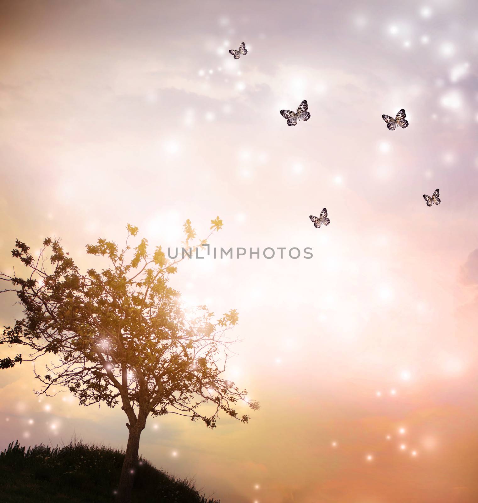 Tree silhouette with small butterflies in twilight