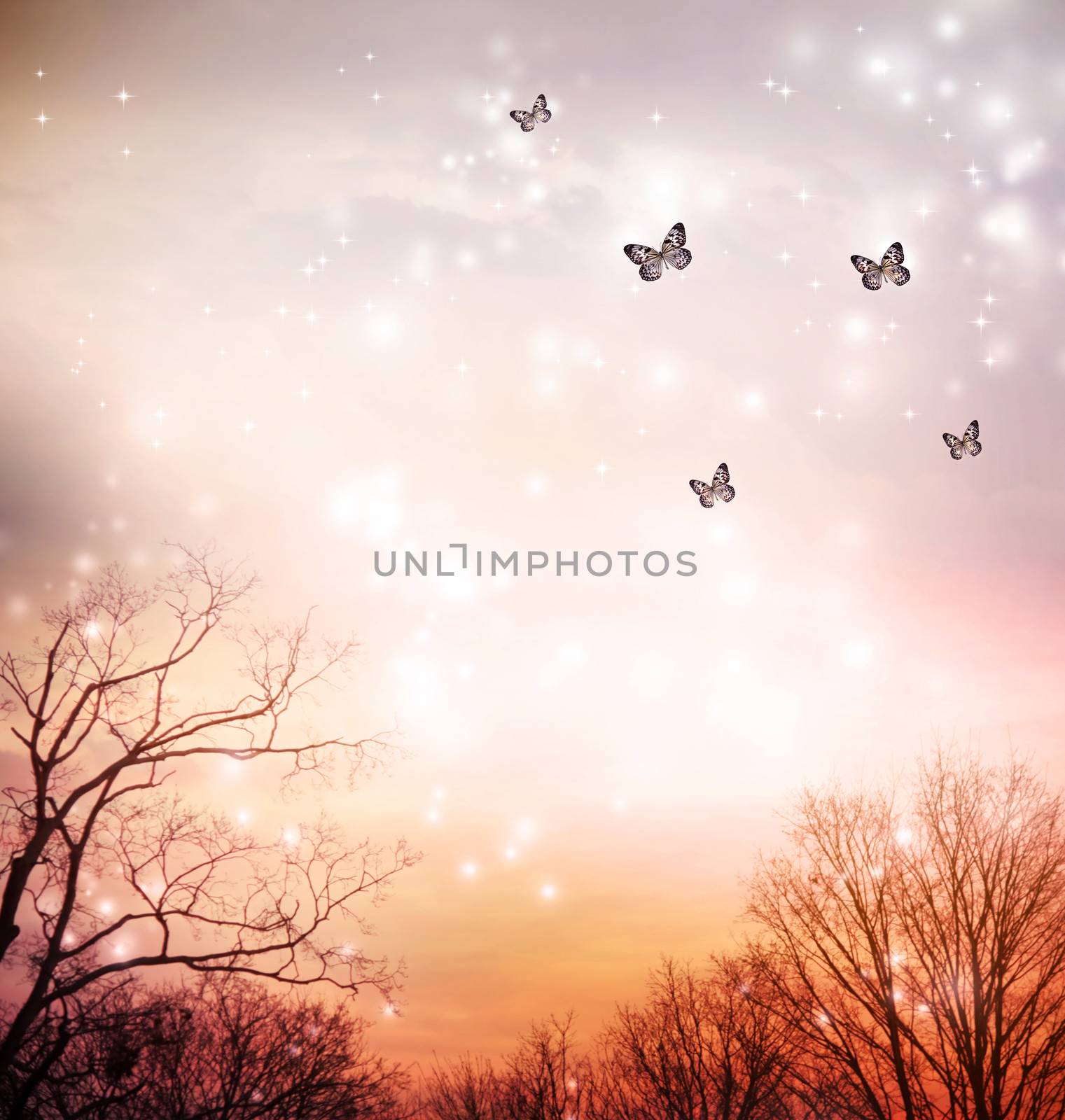 Small butterflies over the trees in the red sky background