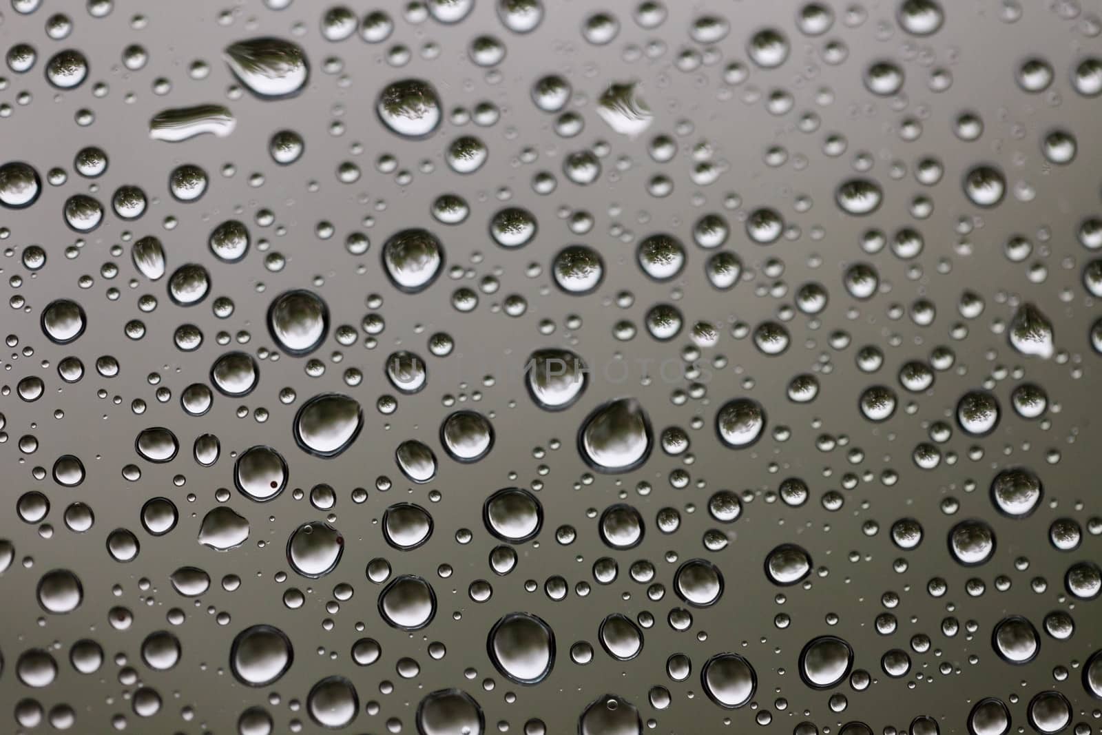 Rain water drops  on window glass