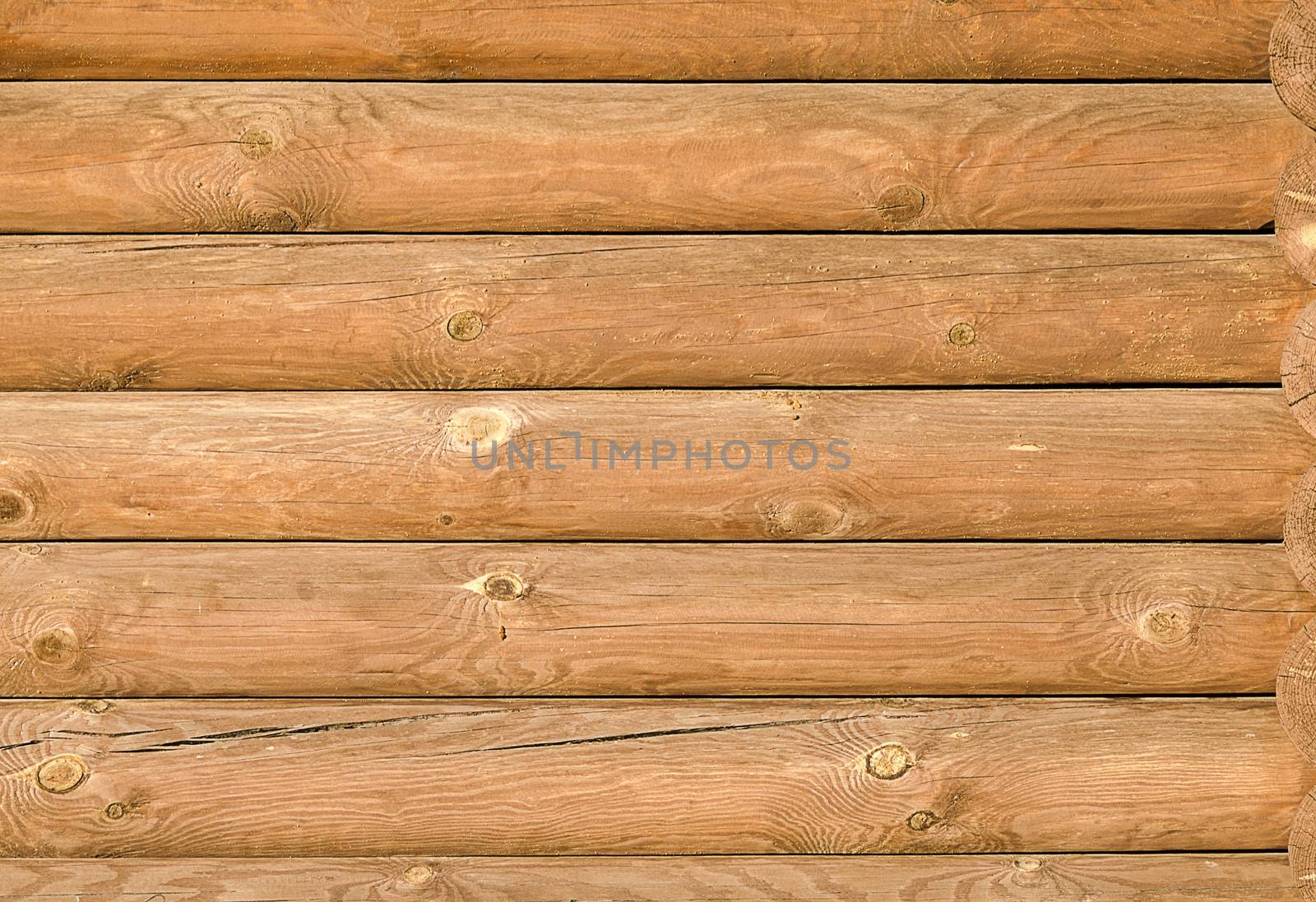 Background texture of the new light-brown wooden logs by pt-home