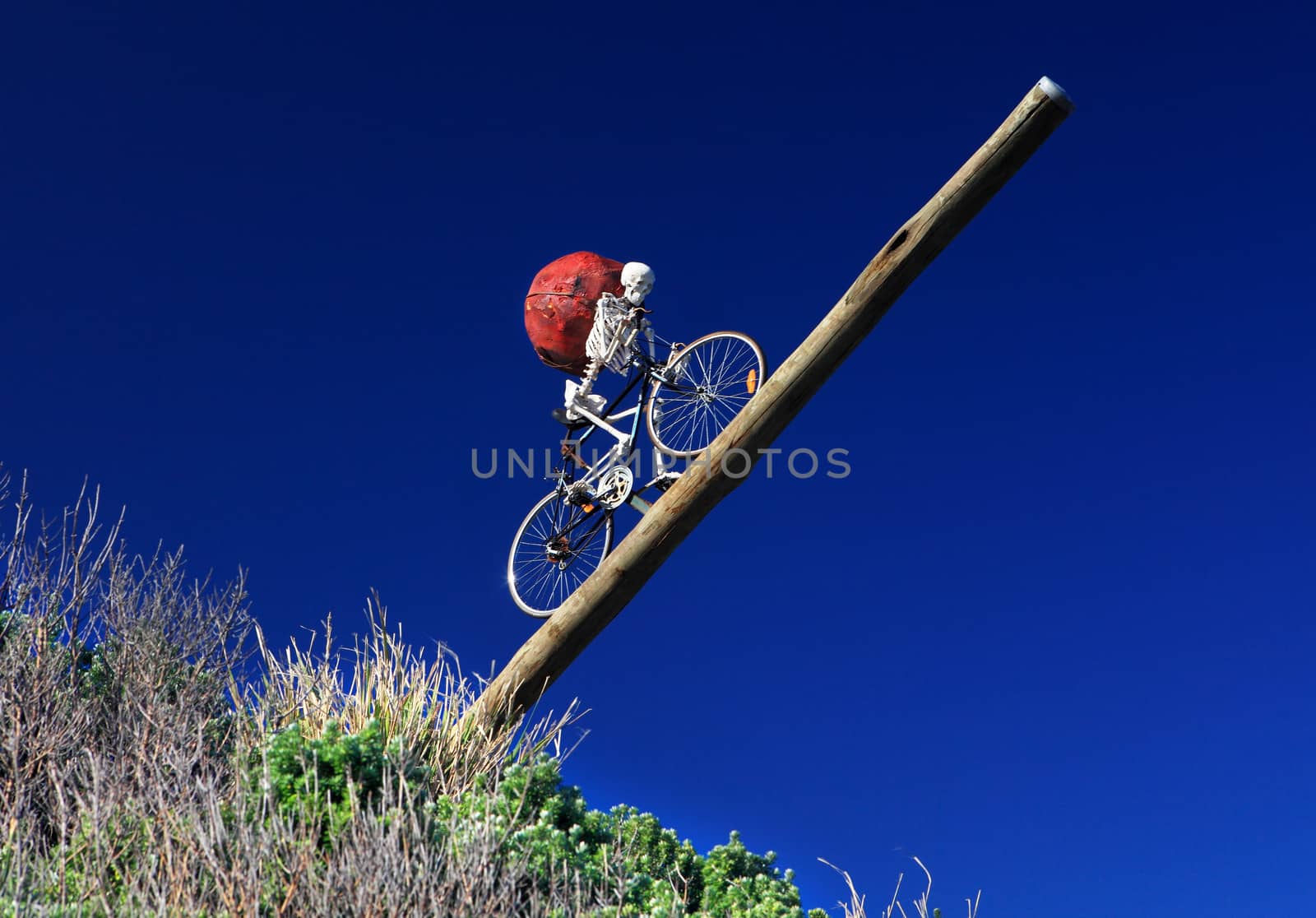 Sculpture by the Sea exhibit by lovleah