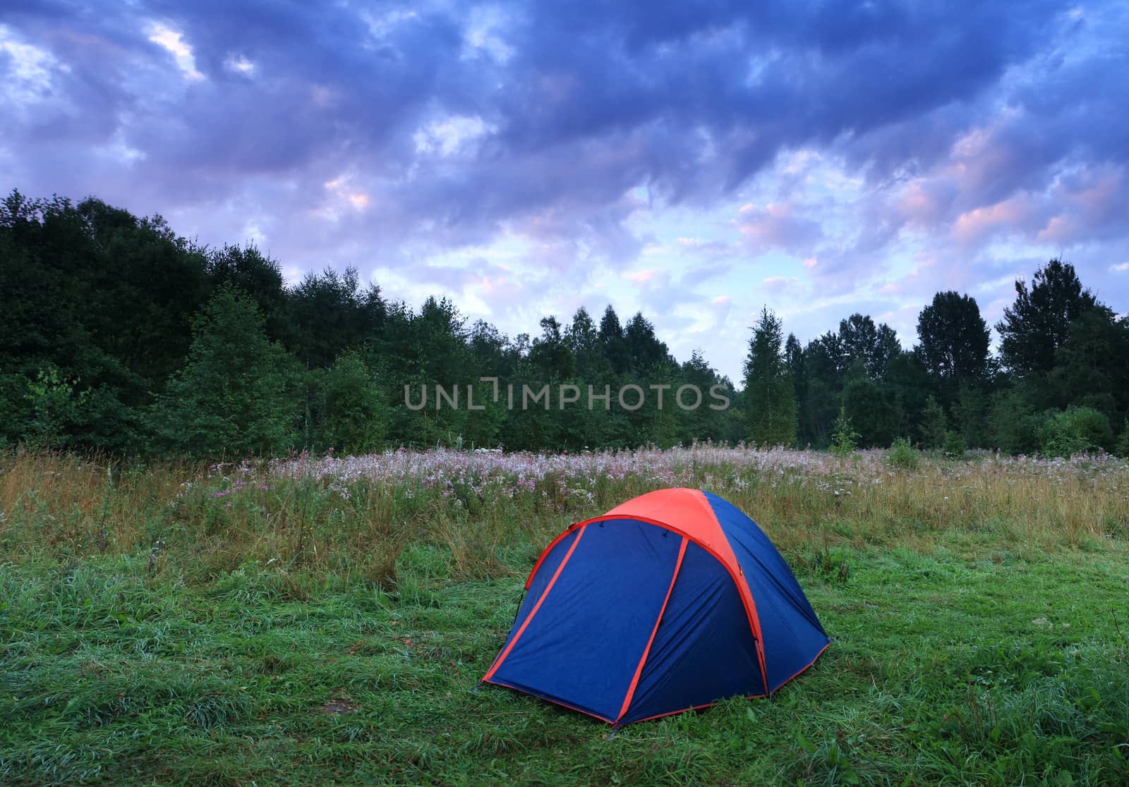 Blue tent in a forest and cloudy sky