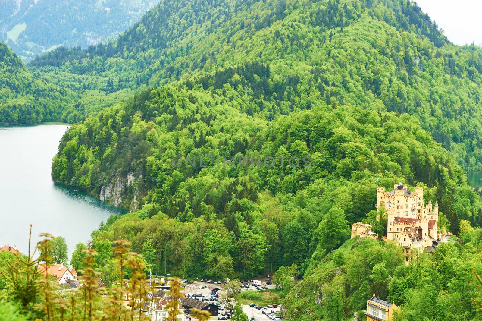 Landscape with castle of Hohenschwangau in Germany by haveseen