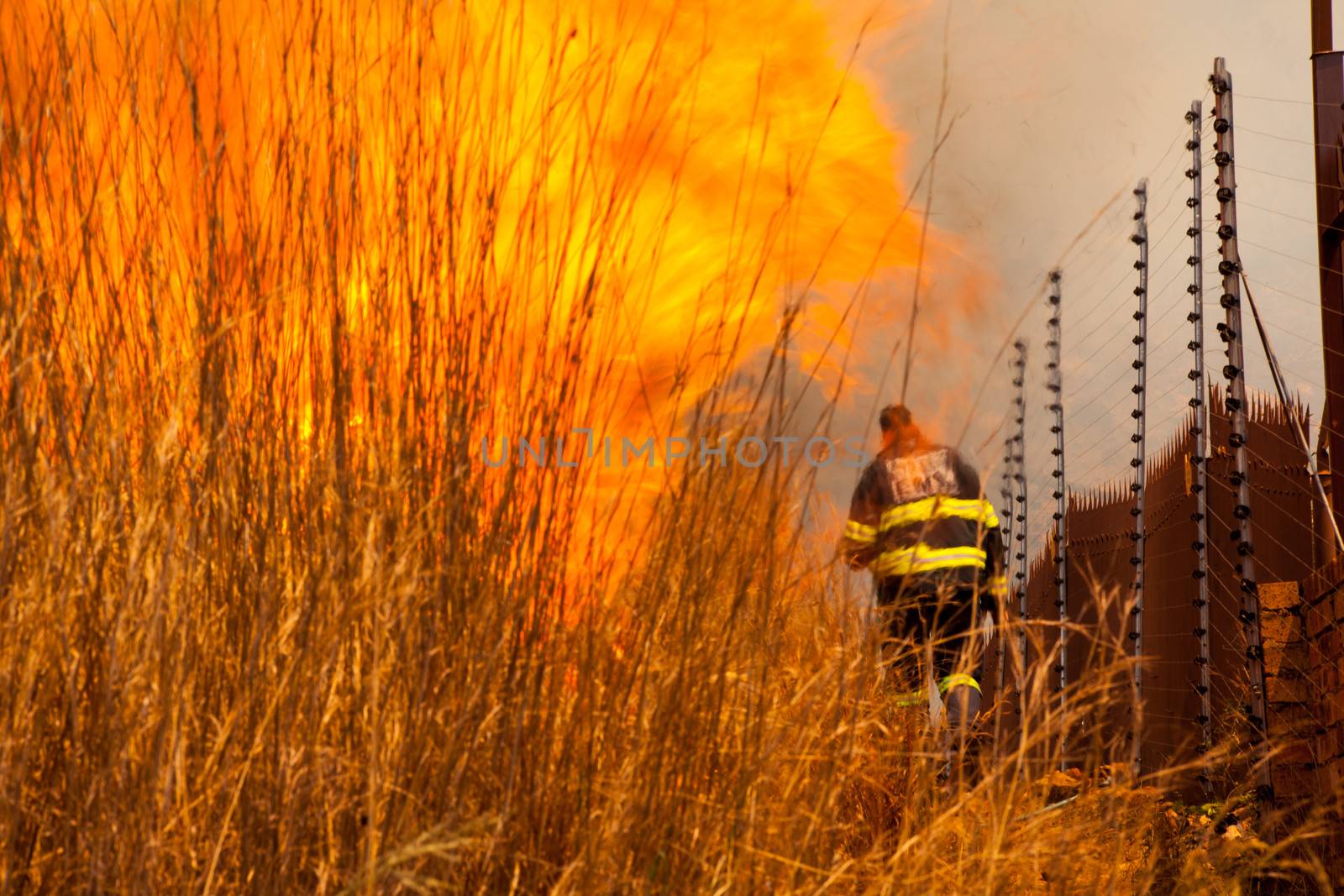 A fireman attending to a brush fire