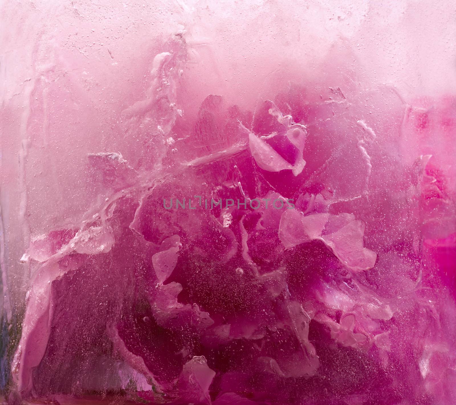  Frozen   pink peony flower  by foryouinf