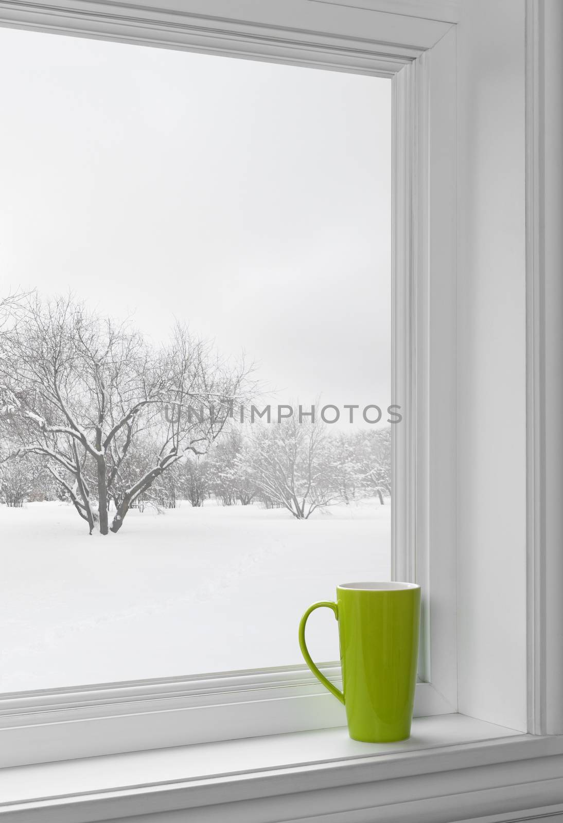 Green cup on a windowsill, with winter landscape seen through the window.