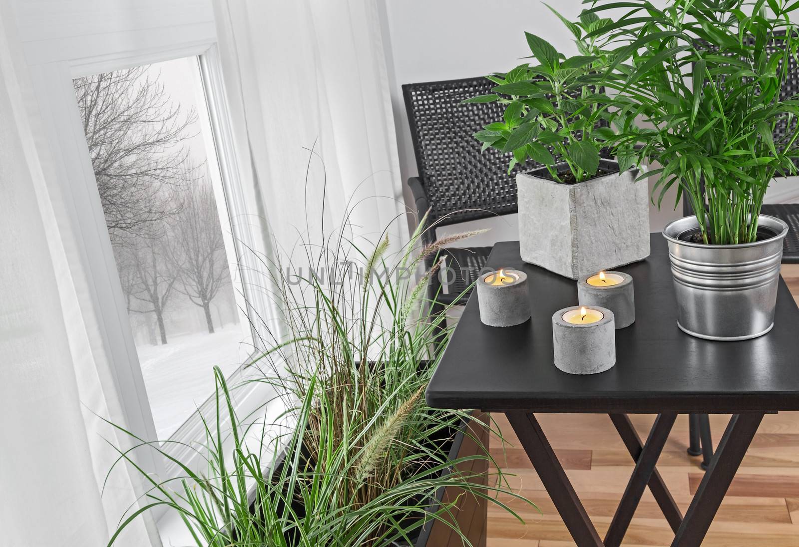 Green plants and candles decorating a room, with winter landscape behind the window.