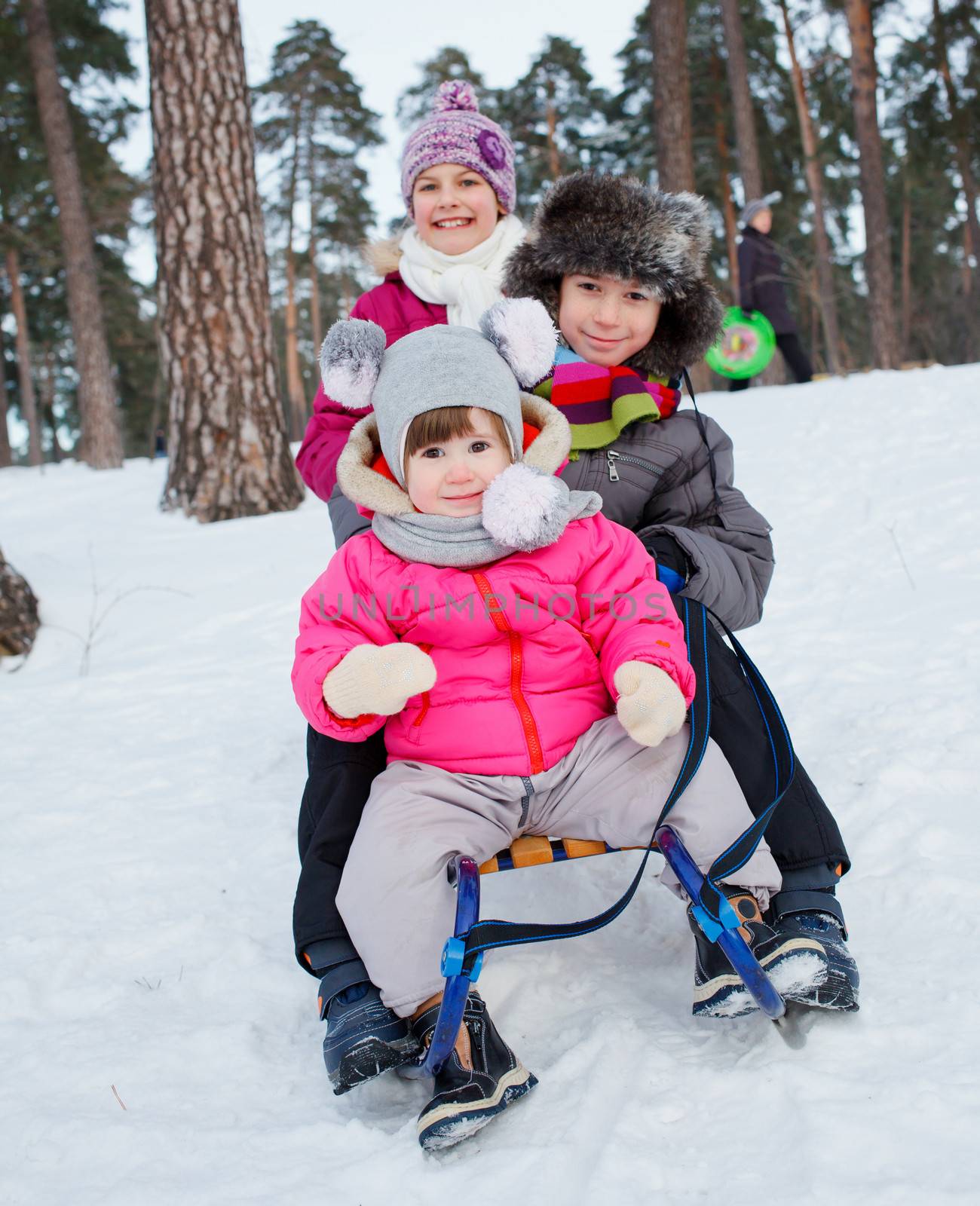 Cute three kids on sleds in snow forest. Focus on the boy