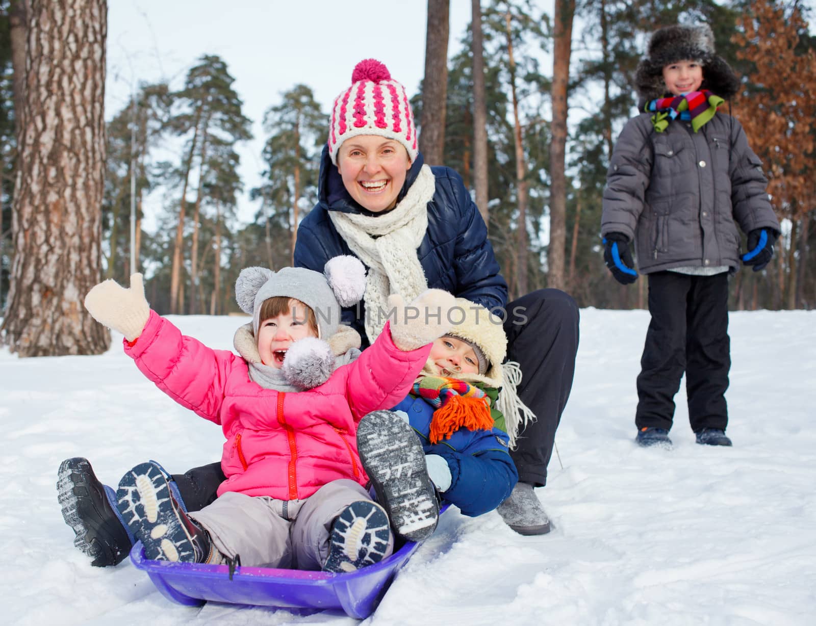 Four kids with mother is sledging in winter-landscape