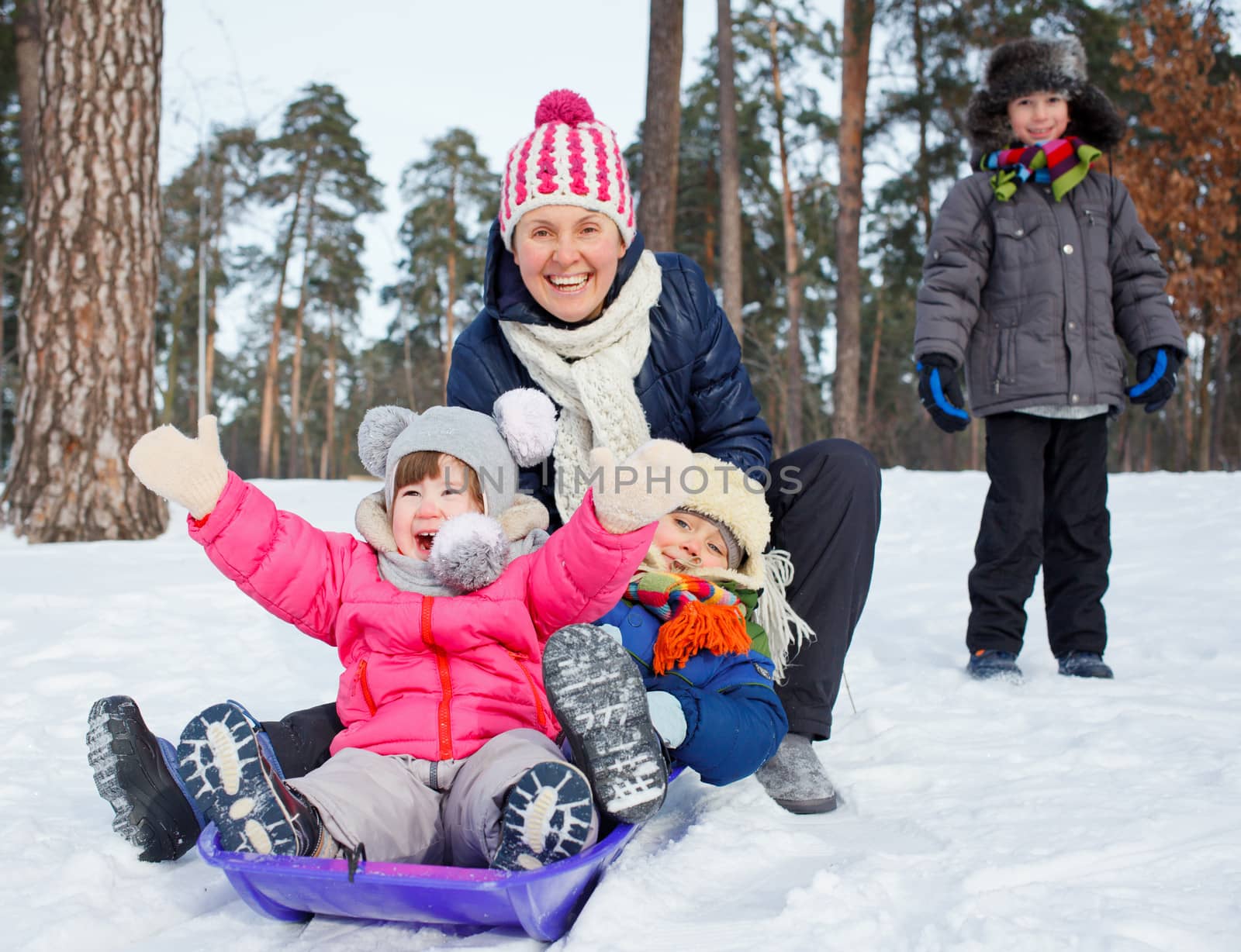 Funny family is sledging in winter-landscape by maxoliki