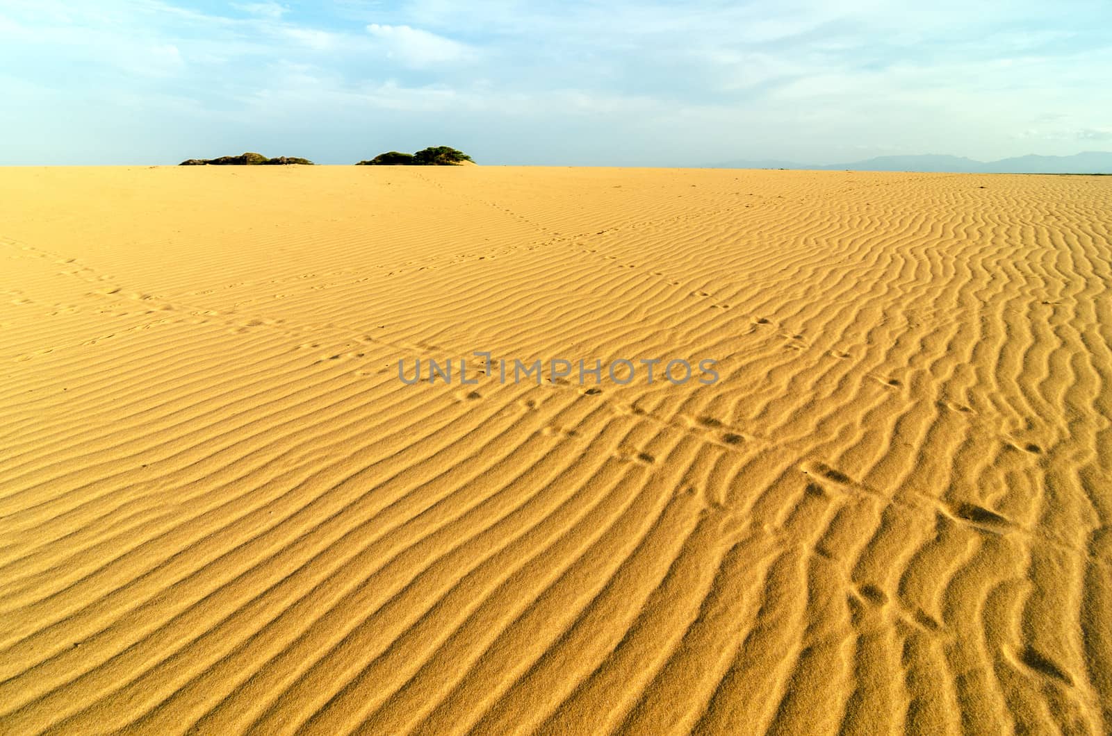 Sand Ripples and Footprints by jkraft5