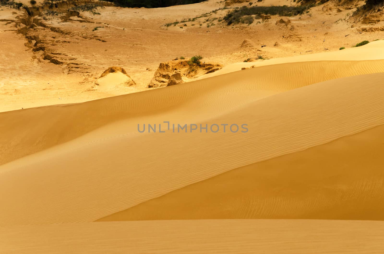 Sand Dune View by jkraft5