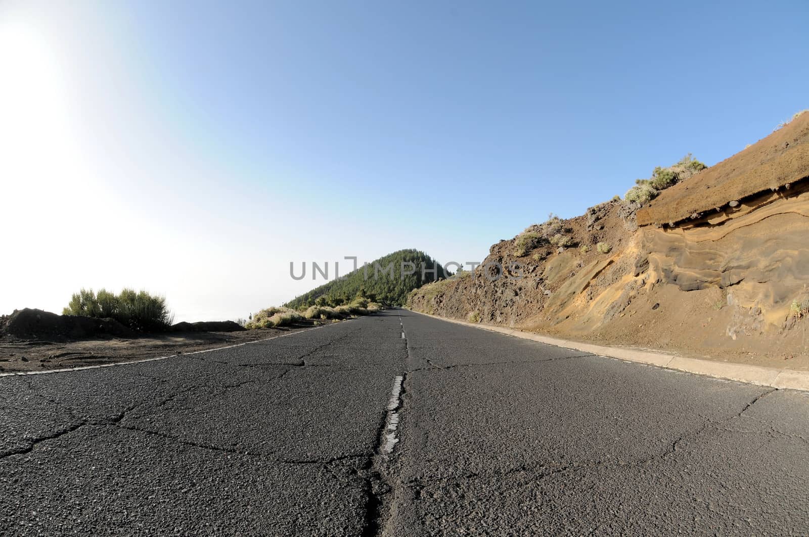 One Lonely Road in the Desert in Tenerife, Spain