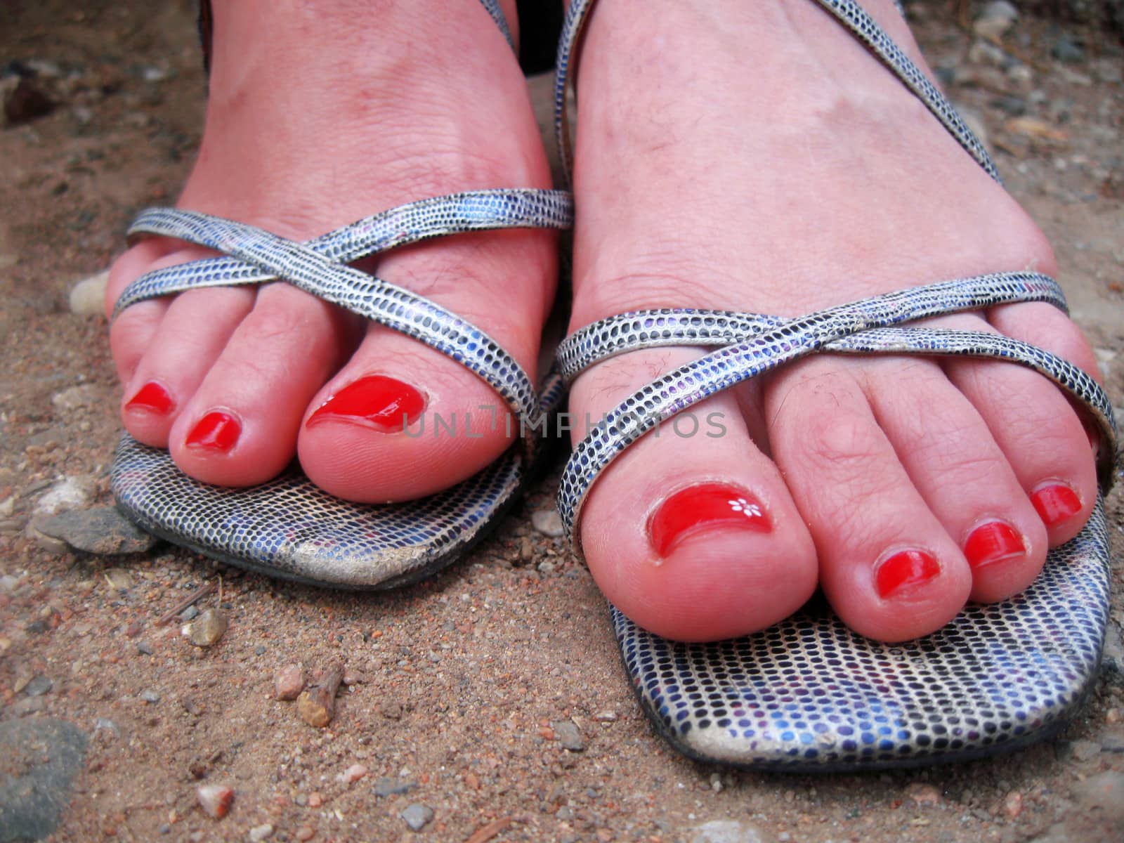 Woman feet standing standing on the ground