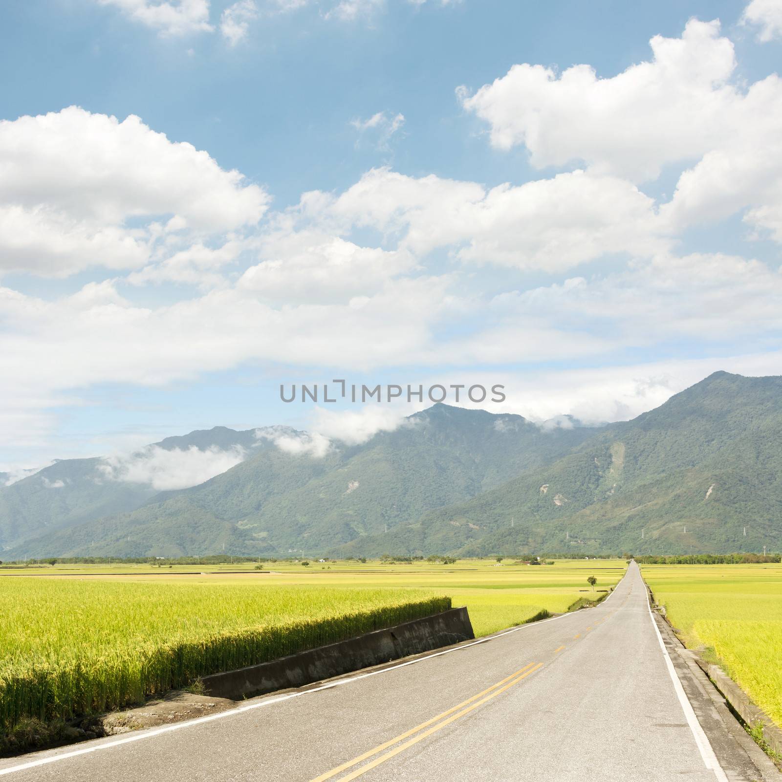 Road in rural by elwynn