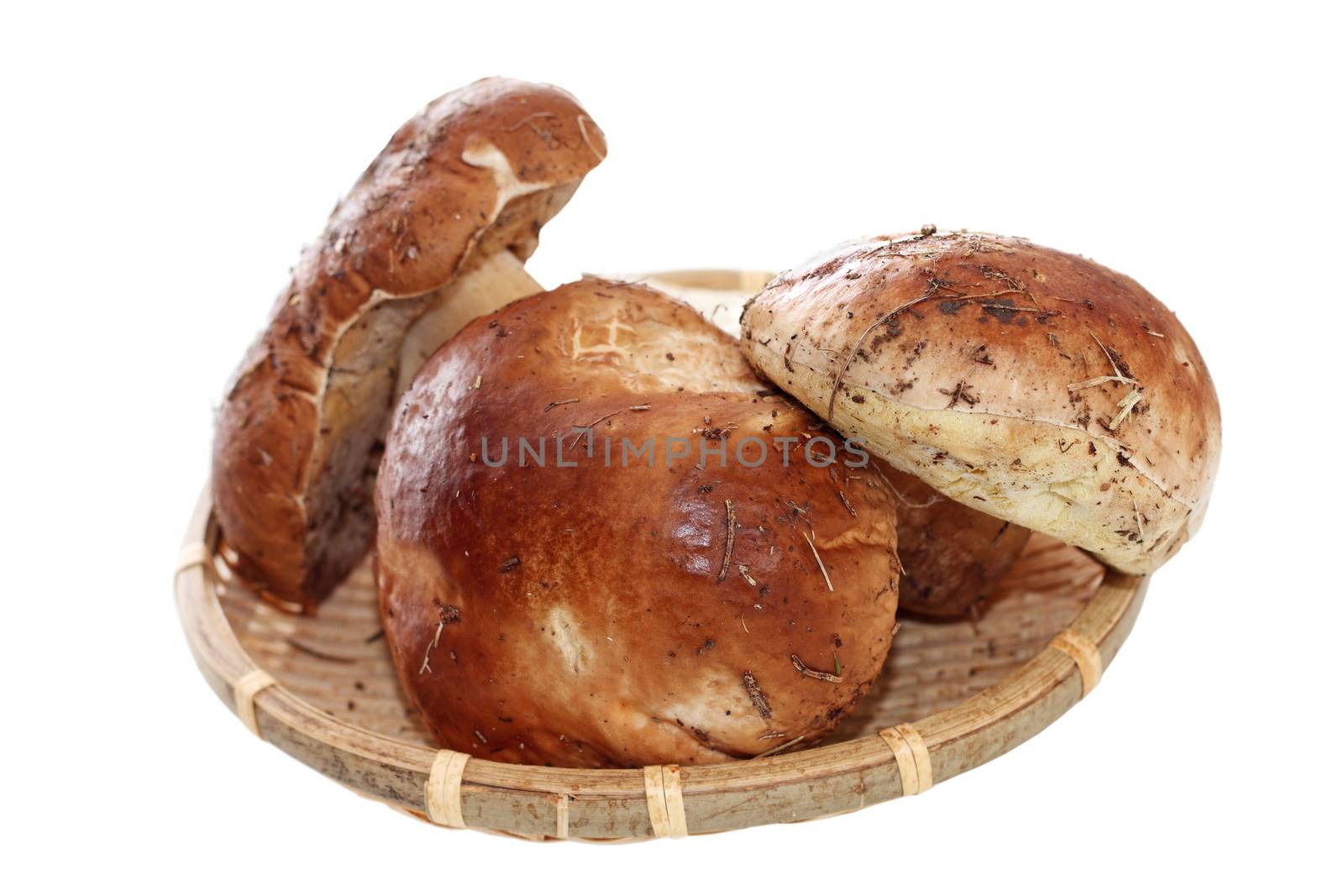 natural porcini mushrooms from the forest ( boletus edulis ) on wicker plate isolated over white background