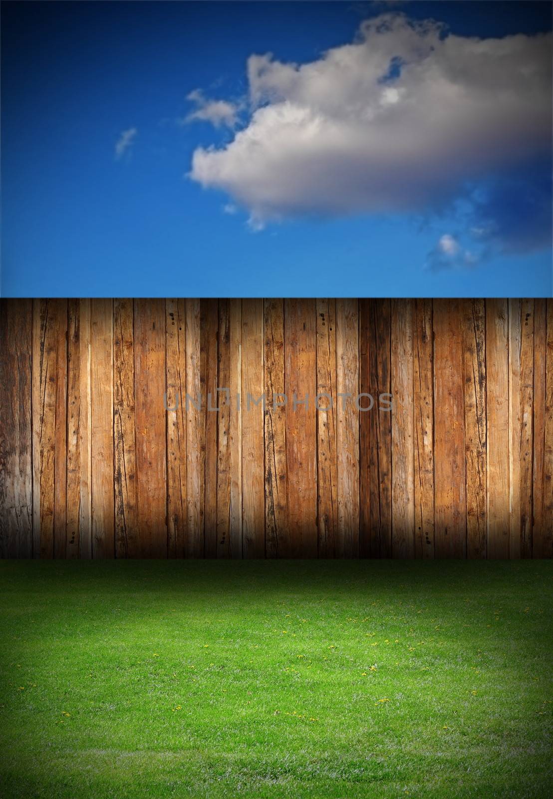 beautiful backyard with old  wooden  fence and green meadow