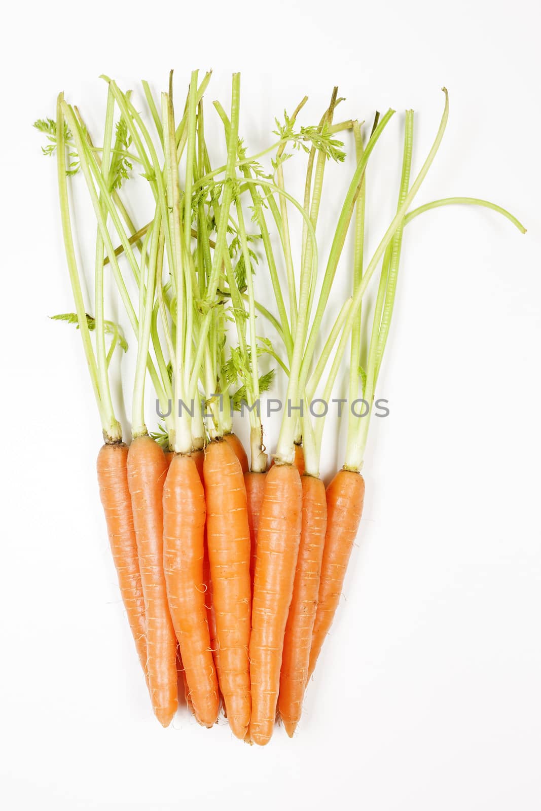 Carrot vegetable with leaves isolated on white background cutout