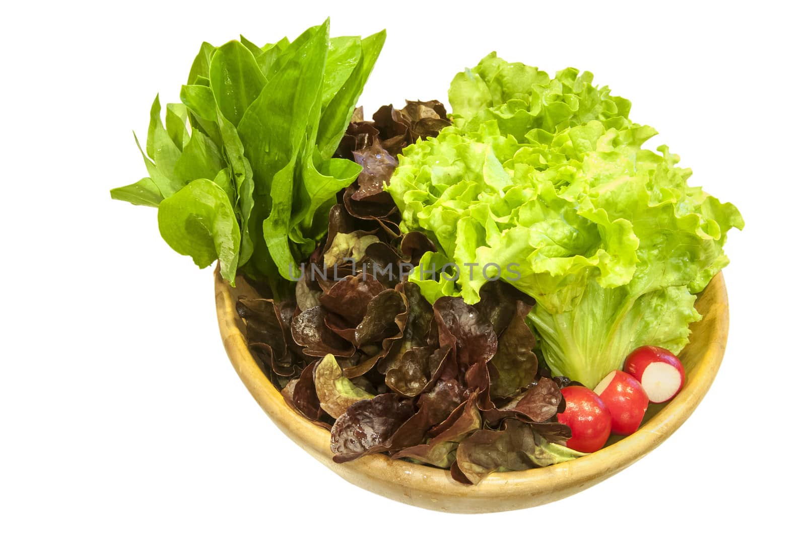 Bowl with lettuce salad, wild garlic,radishes on white background