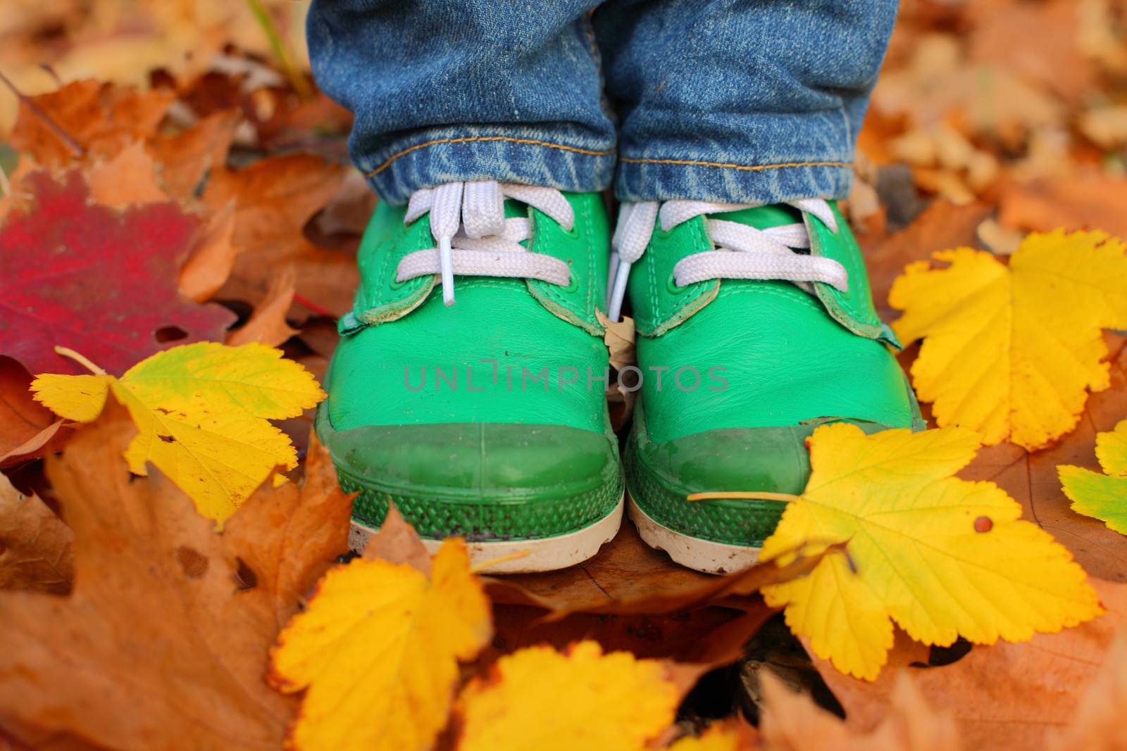 Green leather kids boots and yellow leaves