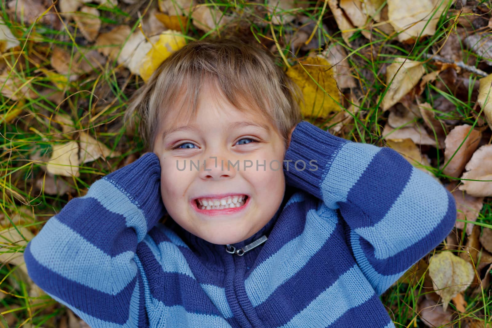 Portrait of happy boy lying on autumnal ground covered with dry leaves