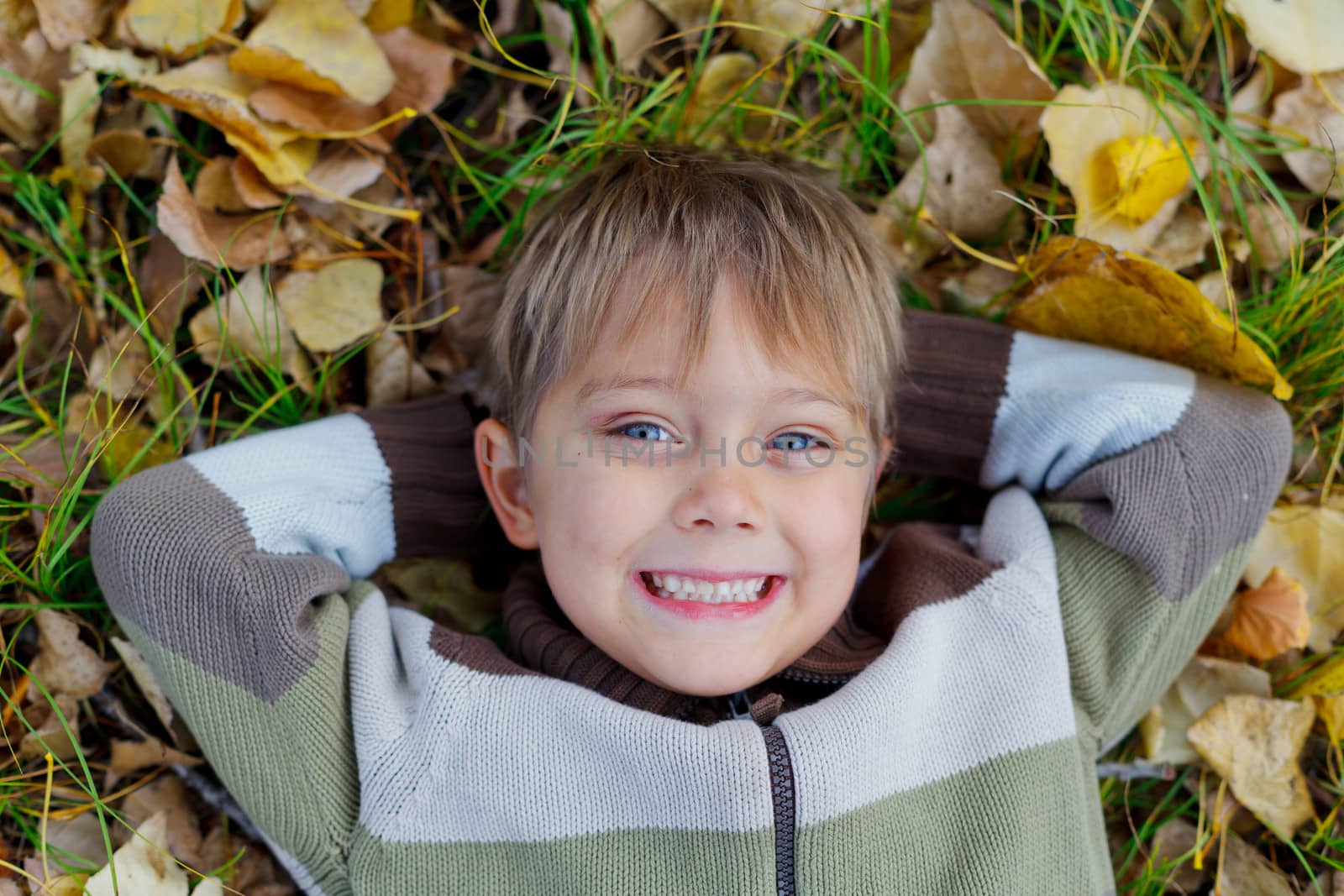 Portrait of happy boy lying on autumnal ground covered with dry leaves