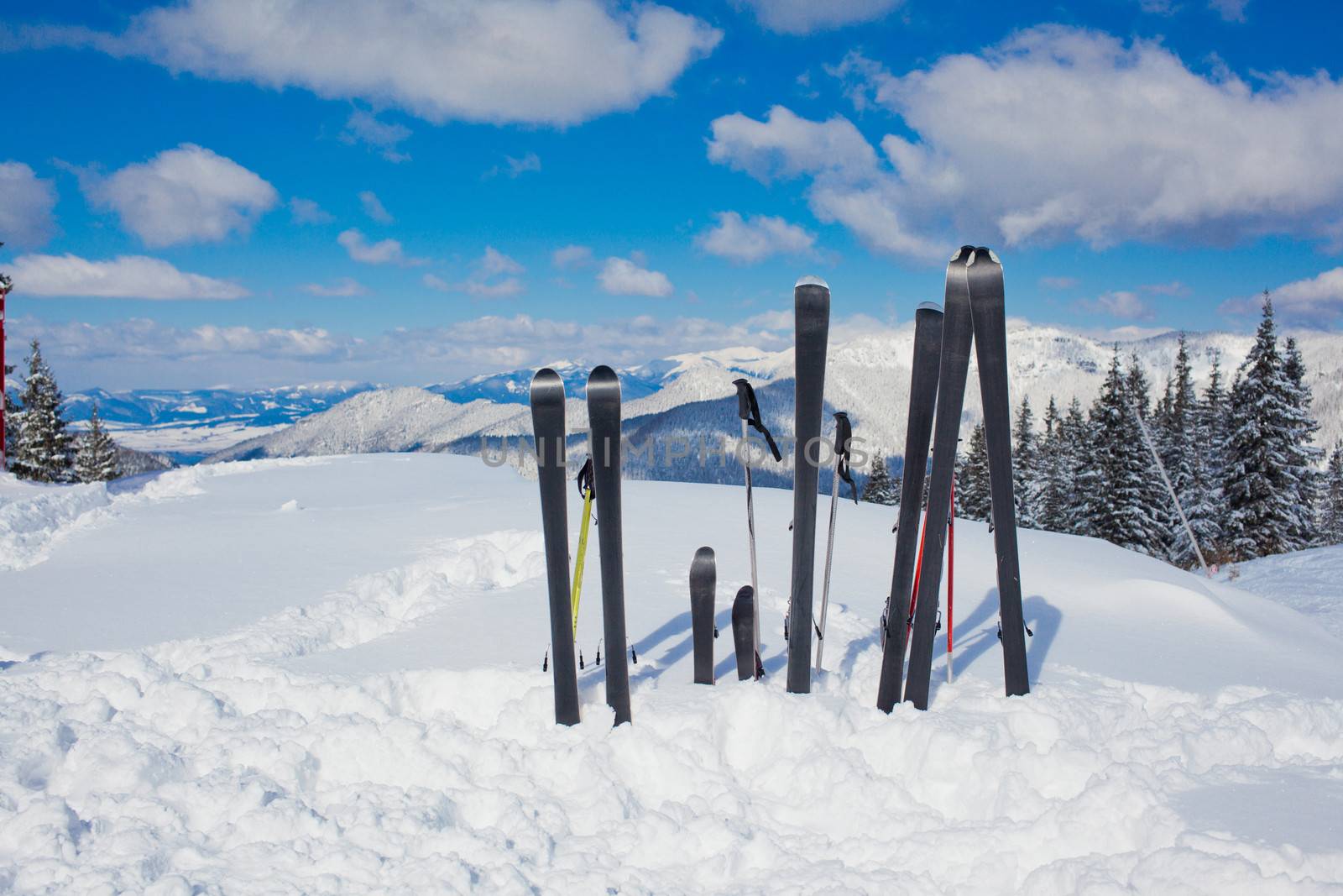 A family set of skis, ski poles in the snow mountains.