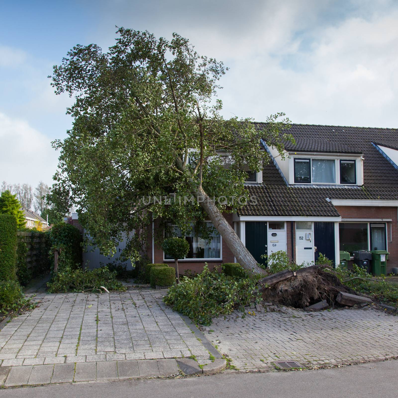 LEEUWARDEN, NETHERLANDS, OKTOBER 28, 2013: Massive storm hit the north of the Netherlands, total damage has been estimated at over 100 million euro.