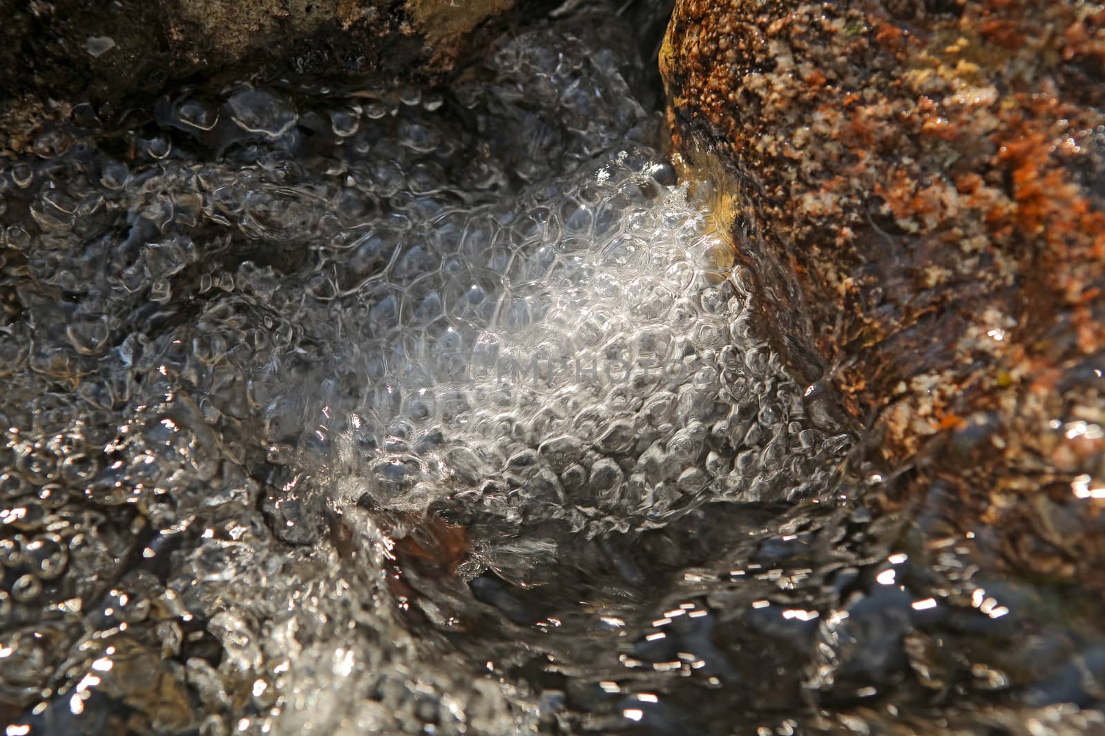 bubbles on the watter surface