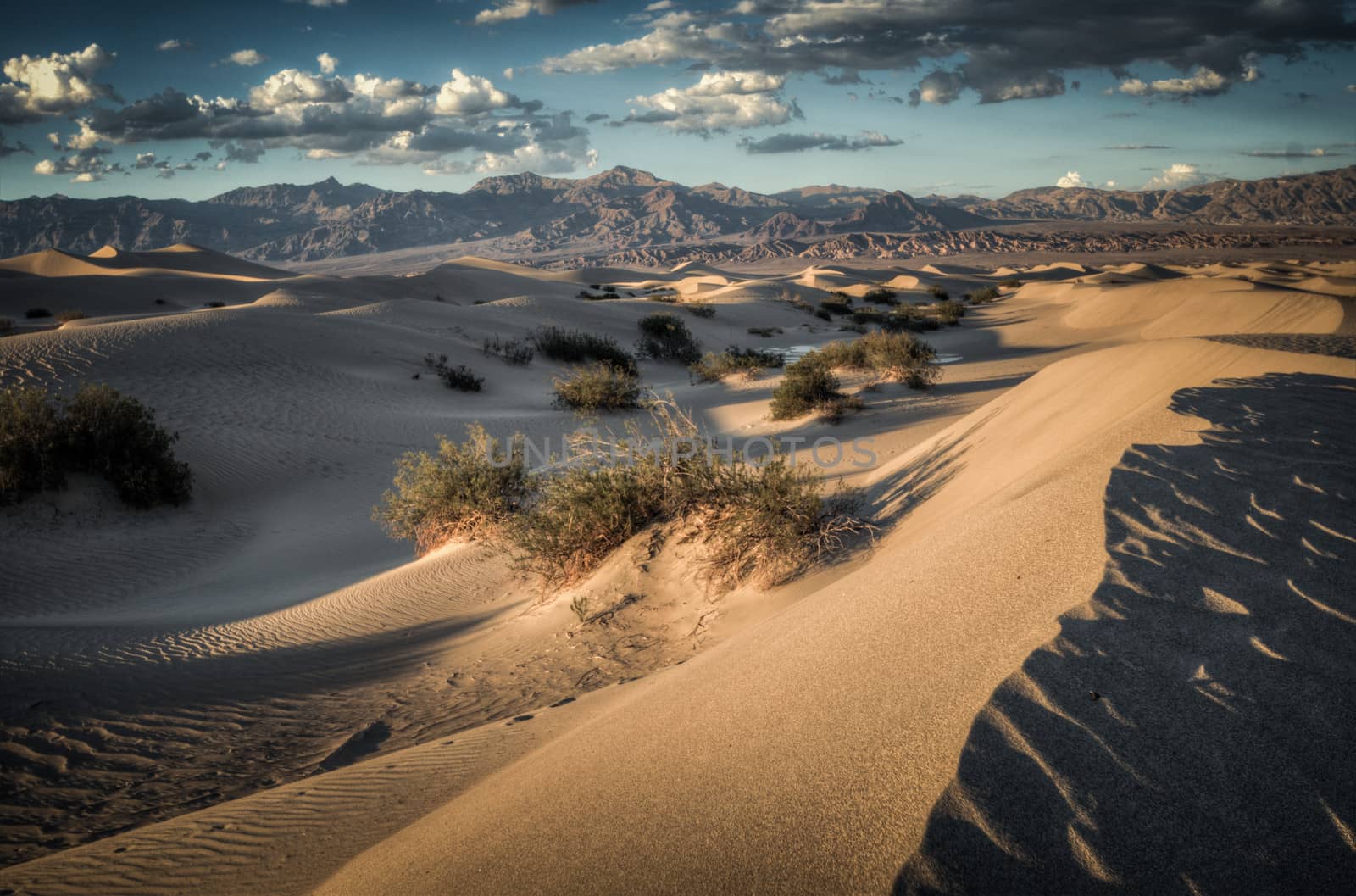 sand dunes in Death valley desert
