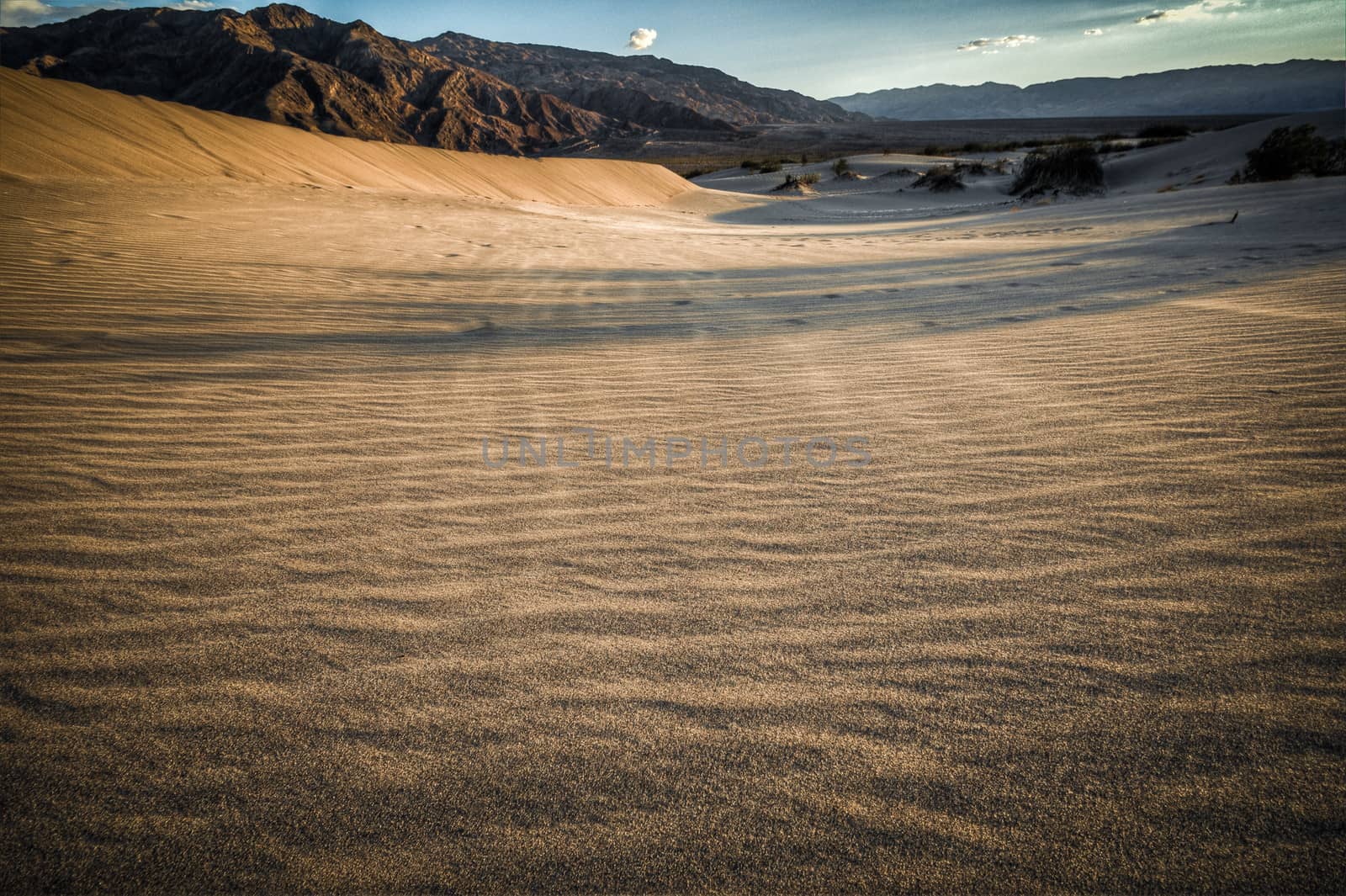Death valley look into desert sand dunes before devils korn field