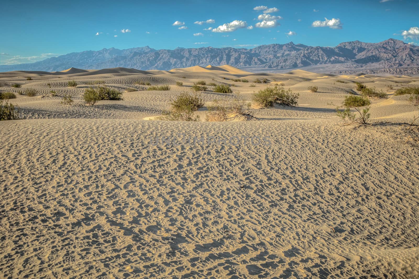 dunes in Death Valley by weltreisendertj