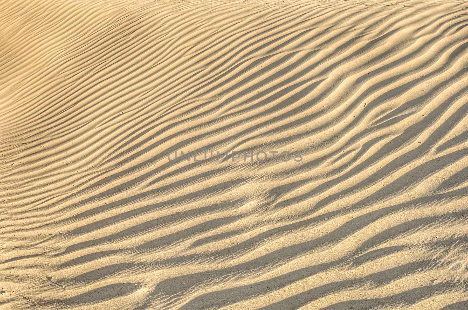 sand dune texture in Death valley, desert