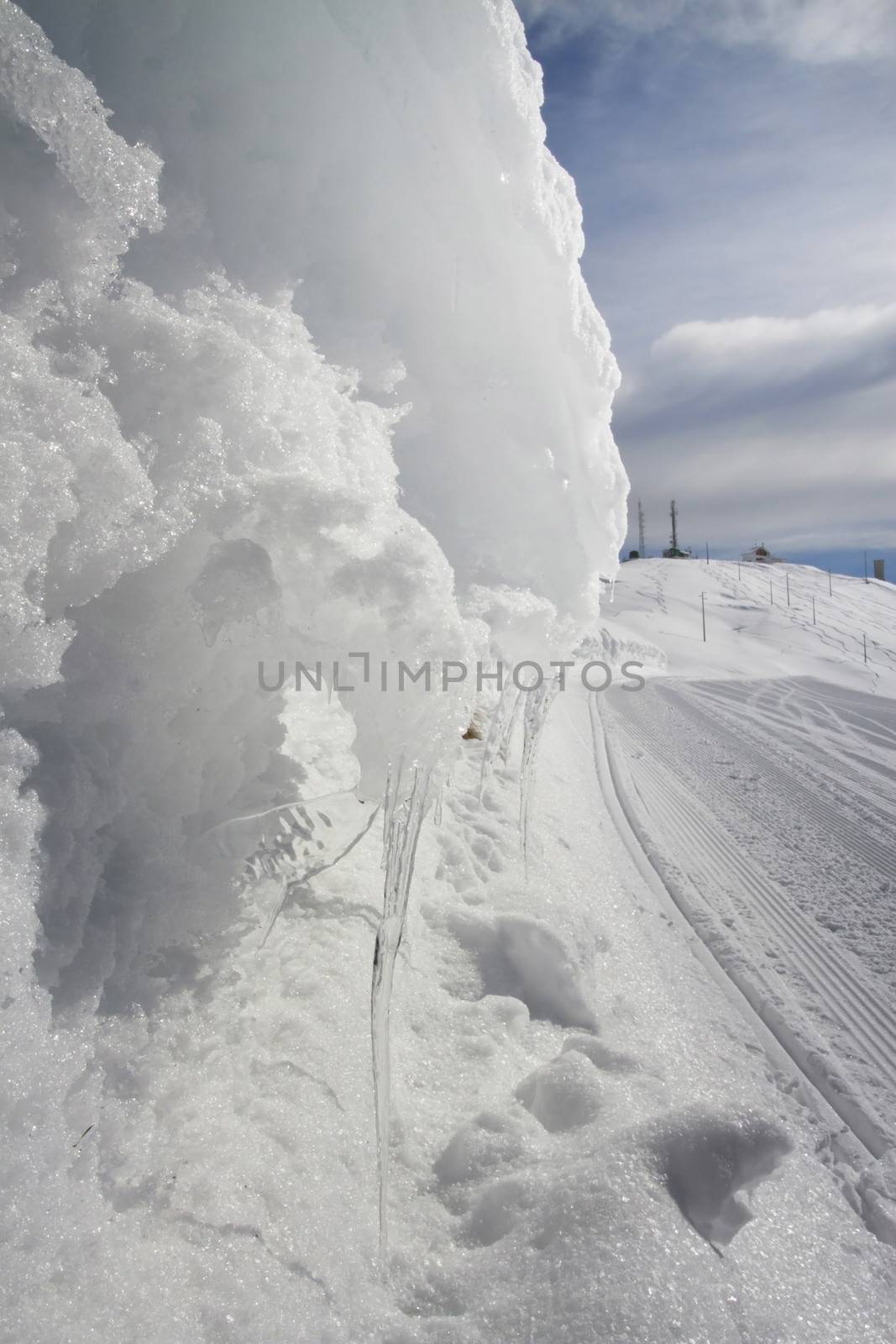 snowy landscape