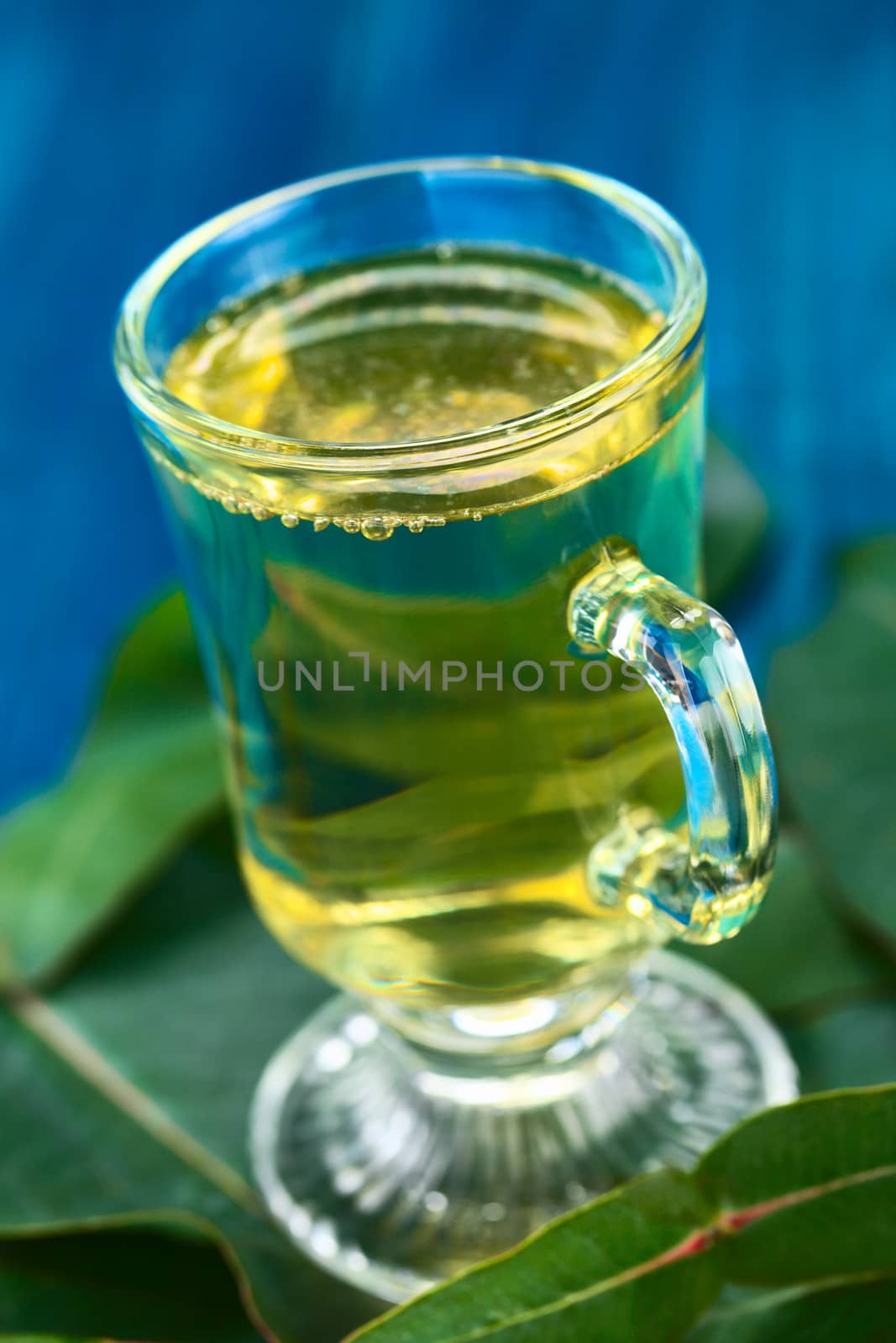 Freshly prepared hot tea made of Eucalyptus leaves in glass (Selective Focus, Focus on the front of the glass rim)