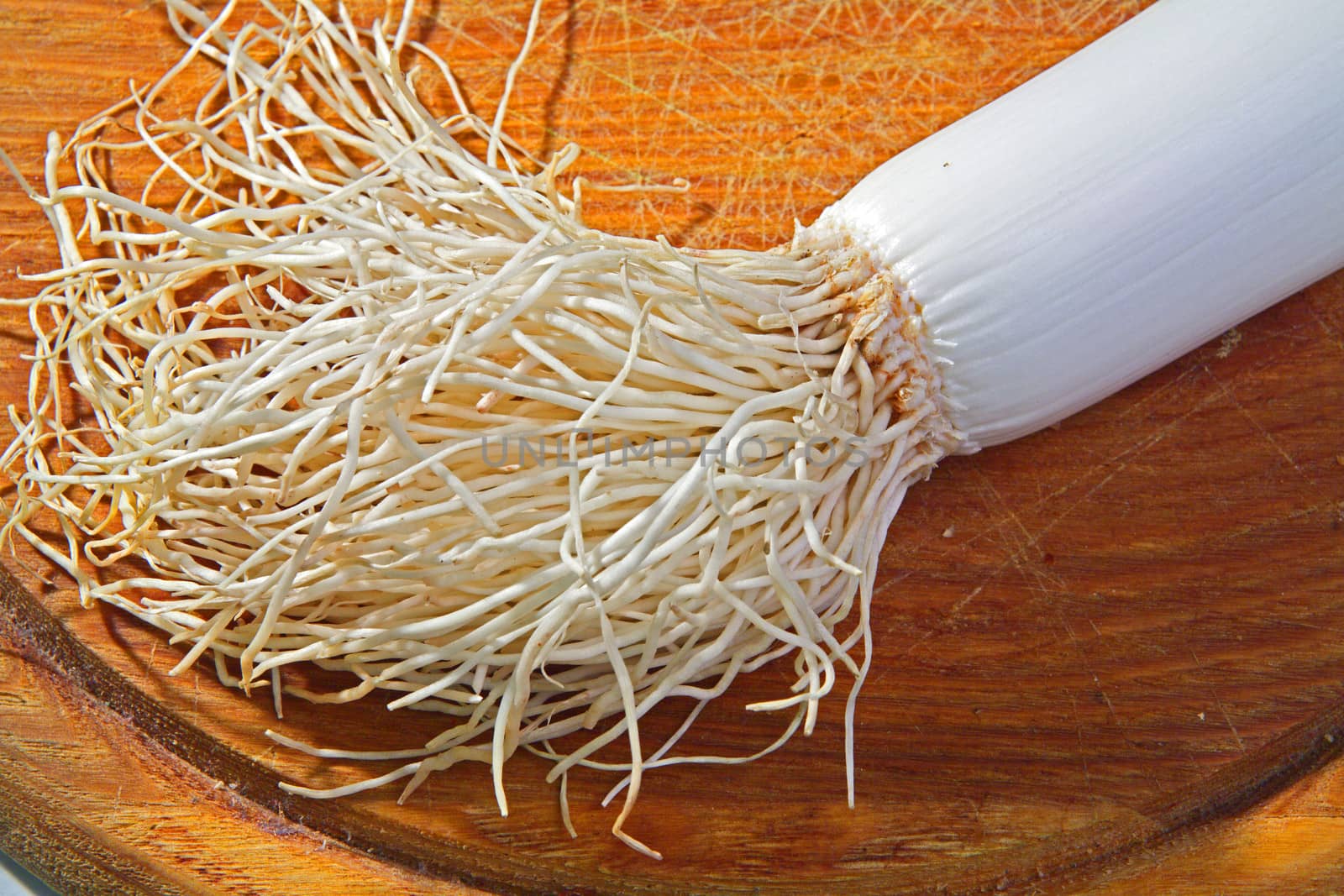 leek stem at a wooden board