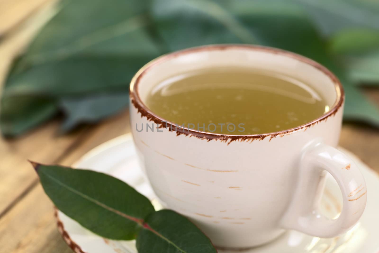 Freshly prepared hot tea made of Eucalyptus leaves in cup (Selective Focus, Focus on the front rim and the handle of the cup)