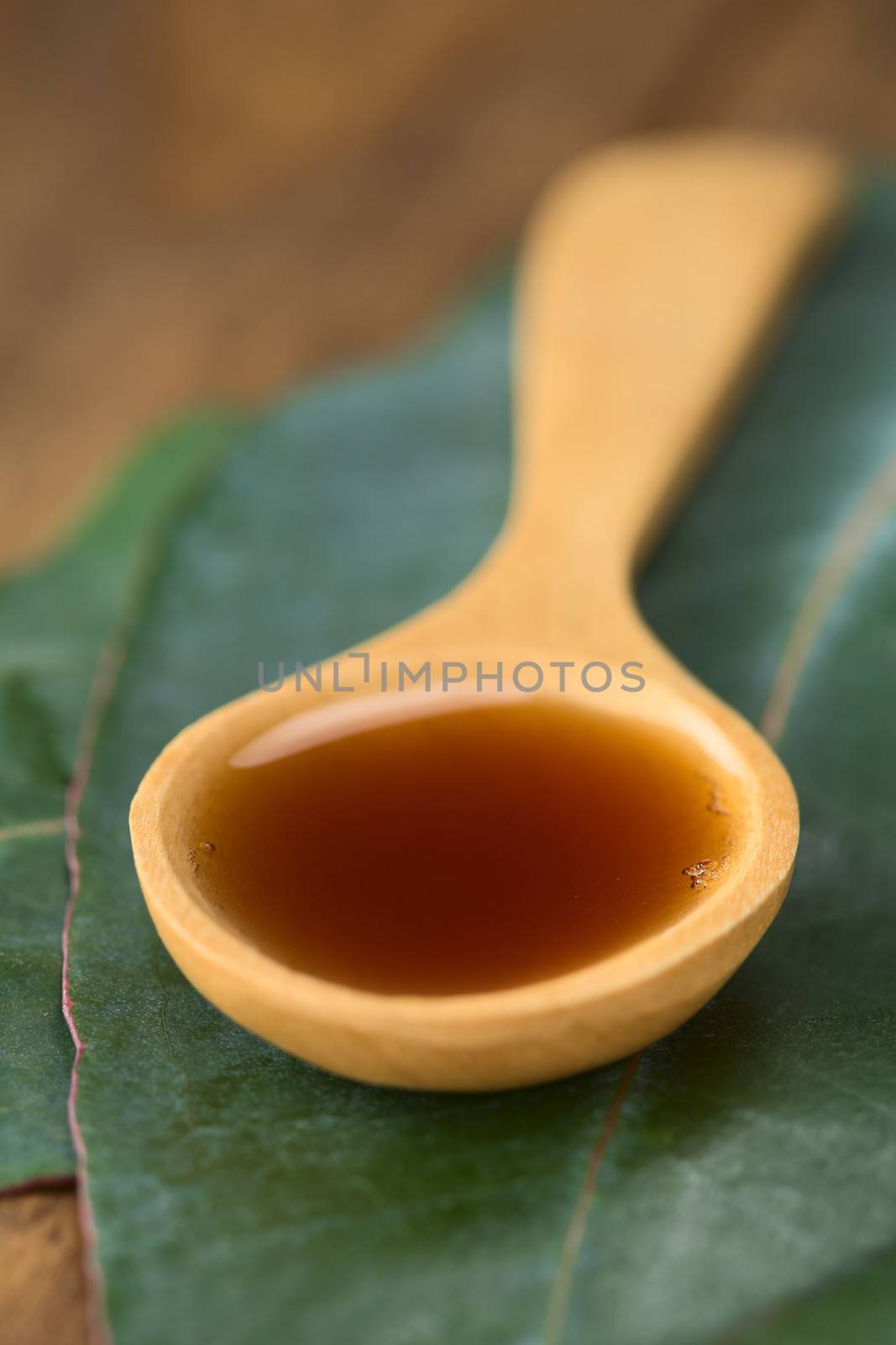 Eucalyptus cough syrup on wooden spoon on fresh Eucalyptus leaves (Very Shallow Depth of Field, Focus one third into the syrup)
