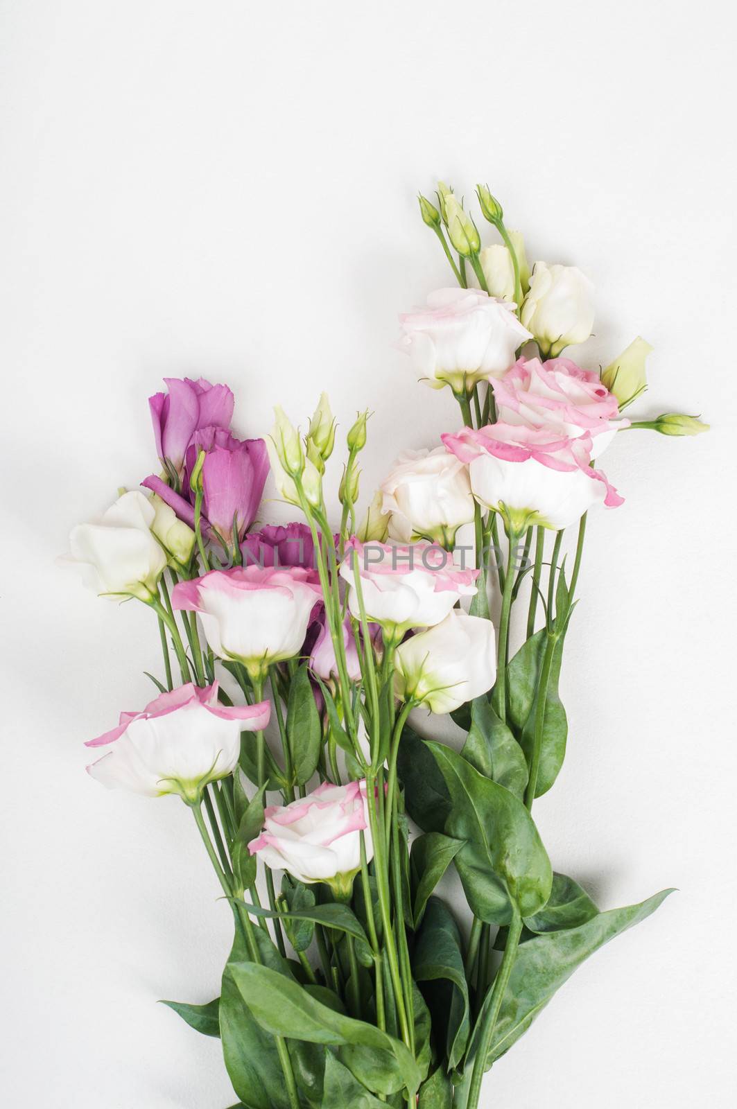 Beautiful eustoma bouquet in studio on light background