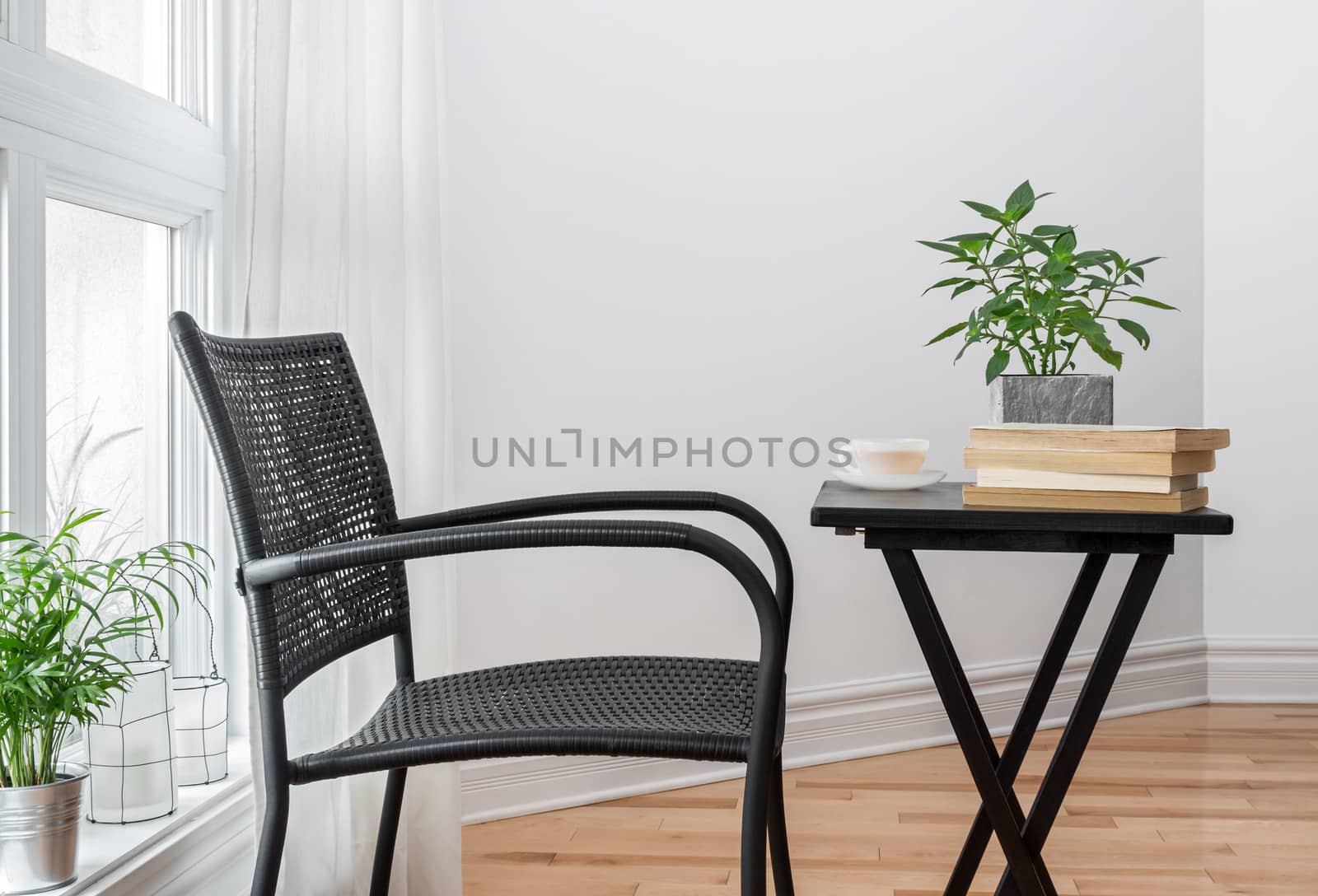 Room with black chair and table, decorated with plants.