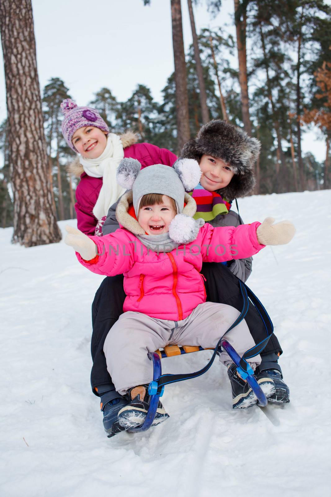 Children on sleds in snow by maxoliki