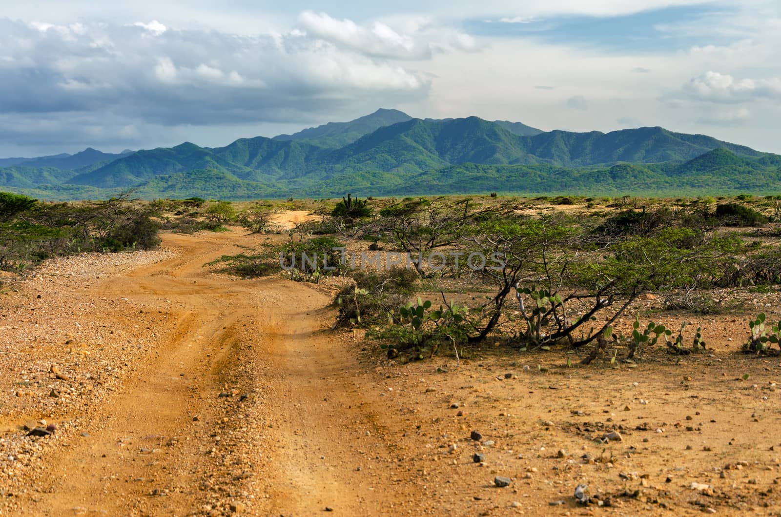 Dirt road passing through a desert with the lush green hills of Macuira National Park visible in the background in La Guajira, Colombia