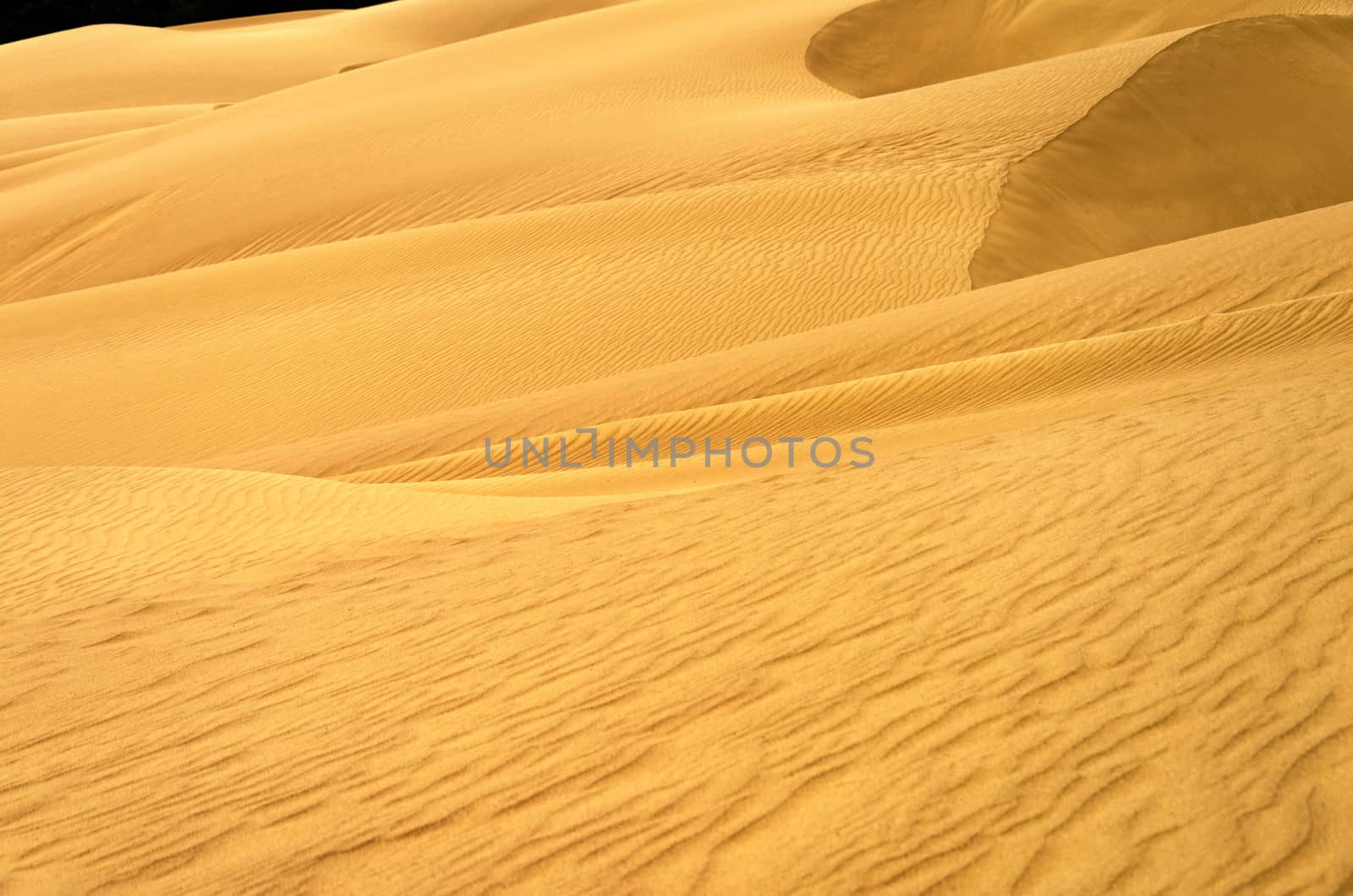 Stunning Sand Dune View by jkraft5