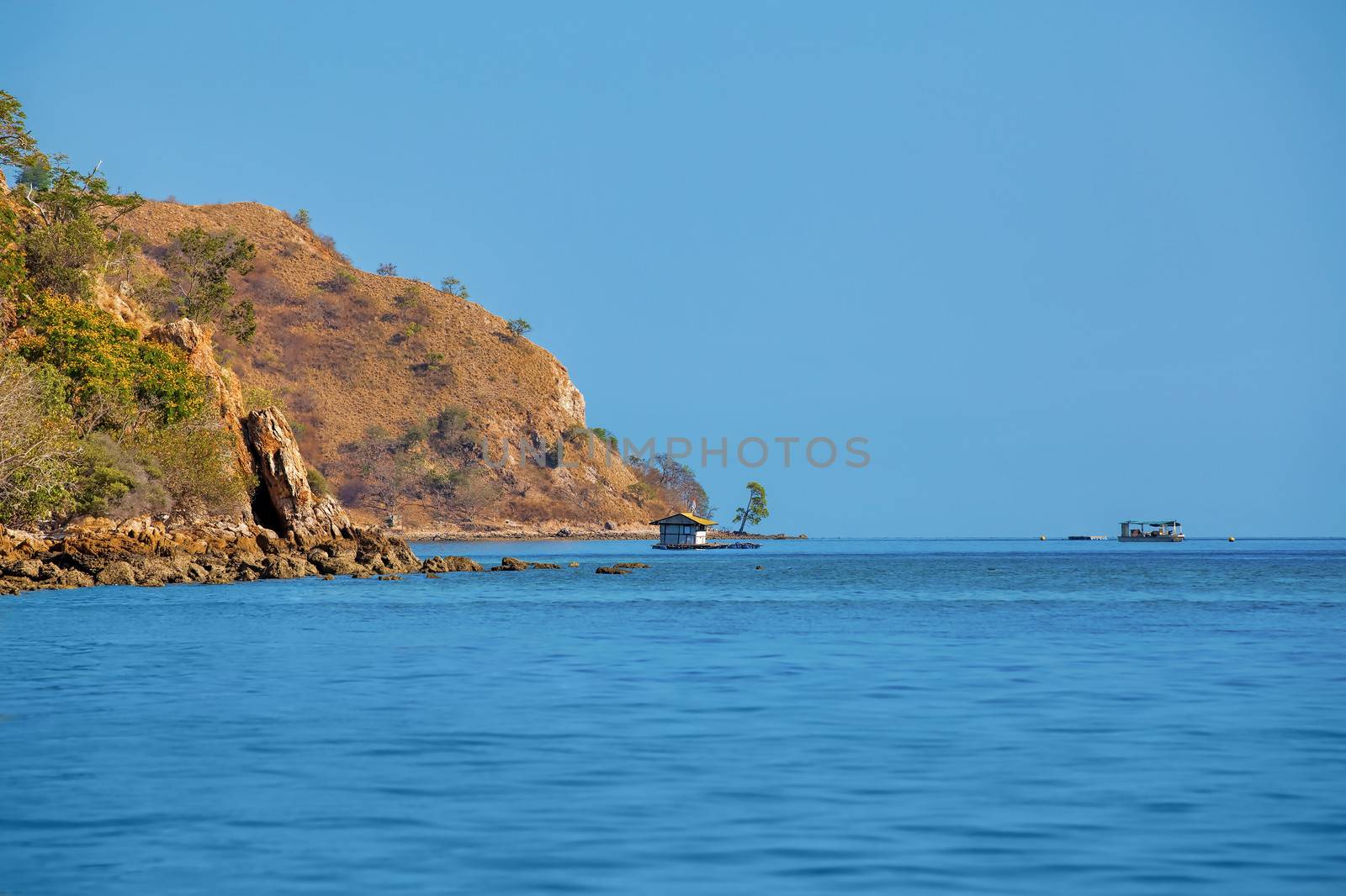 Komodo Island by kjorgen